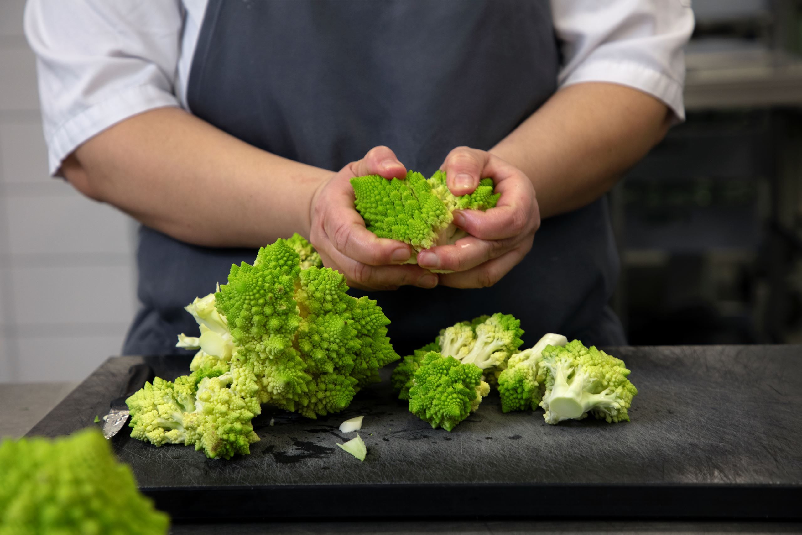 Meyers gør status på bæredygtighedsarbejde:   Hæver økologiprocent til 55% og indkøber 72 tons bælgfrugter  