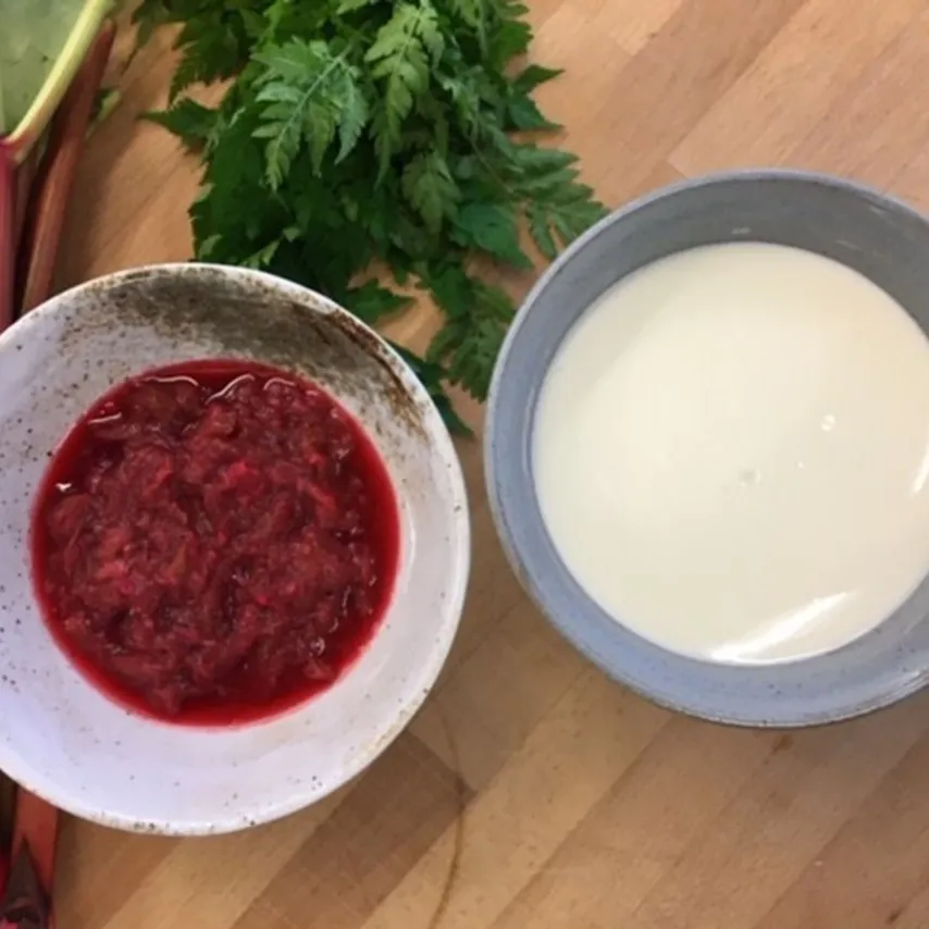 Hjemmelavet yoghurt med rabarber og grøn sukker med sødskærm