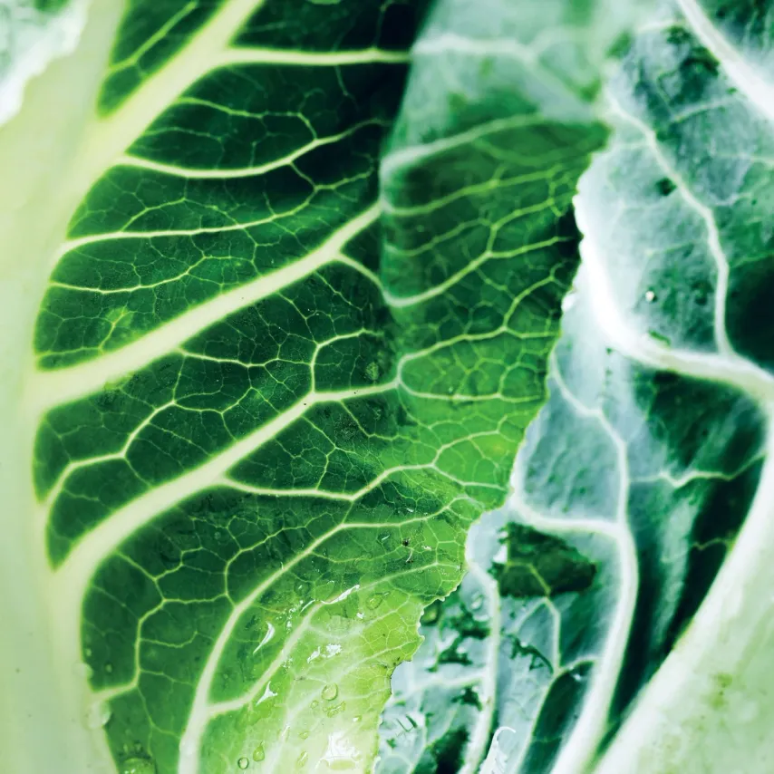 Efterårssuppe med blomkål