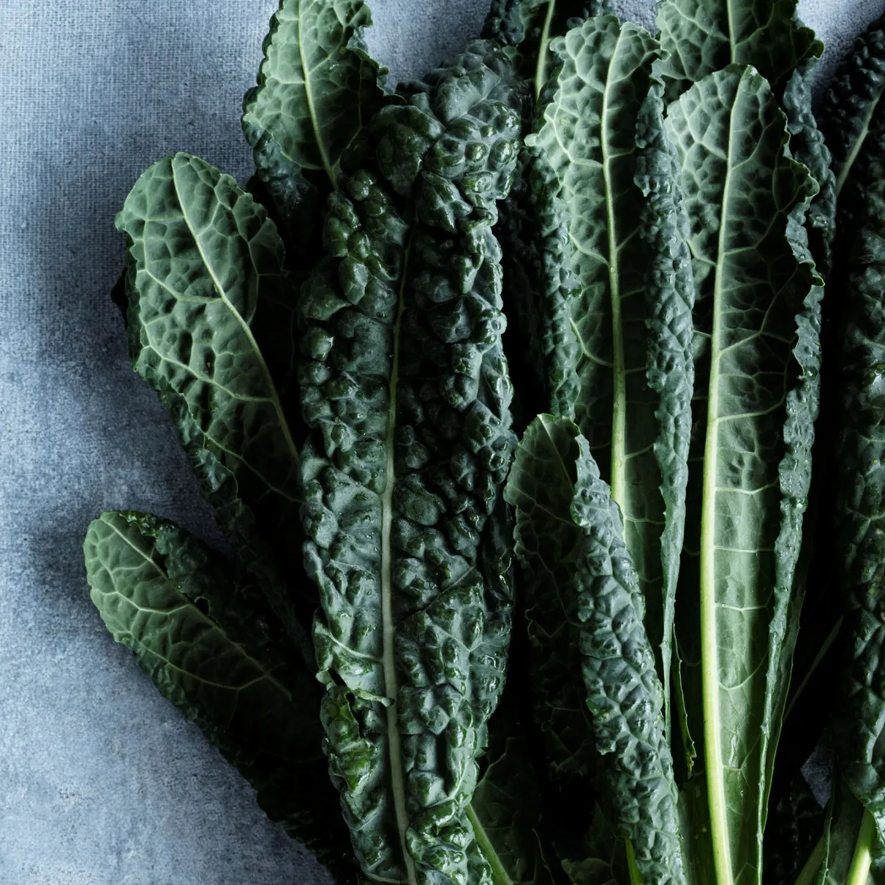 Mad og fællesskab skal give udsatte unge en ny vej i livet