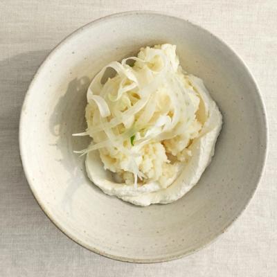 Brandade af saltbagt knoldselleri med fennikelcrudité, fyrig peberodscreme og dild