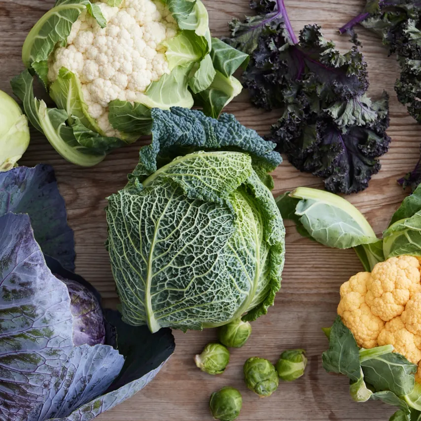 Økologi - en bæredygtig behandling af miljø, natur og dyr.