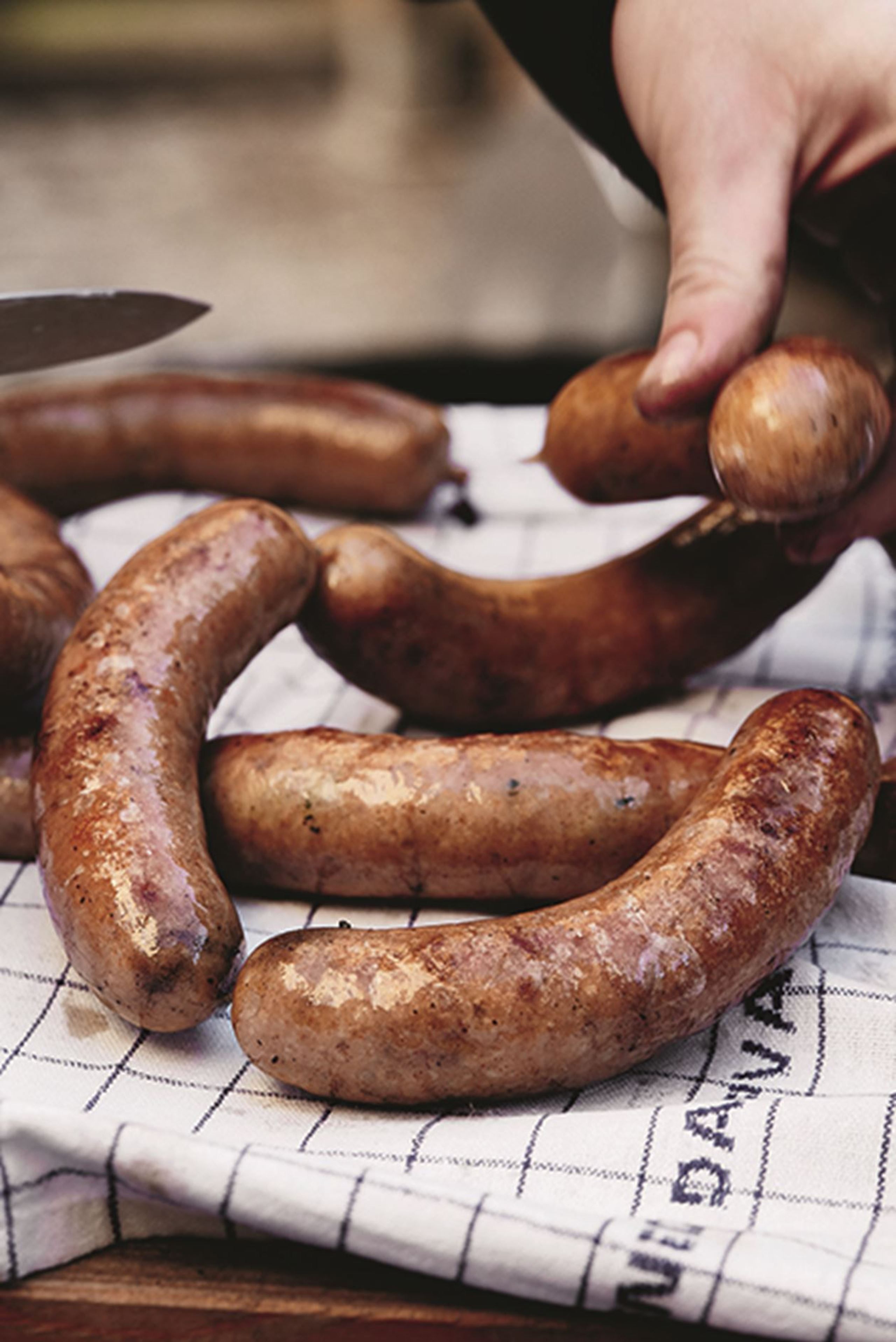 Sønderjyske ringridere