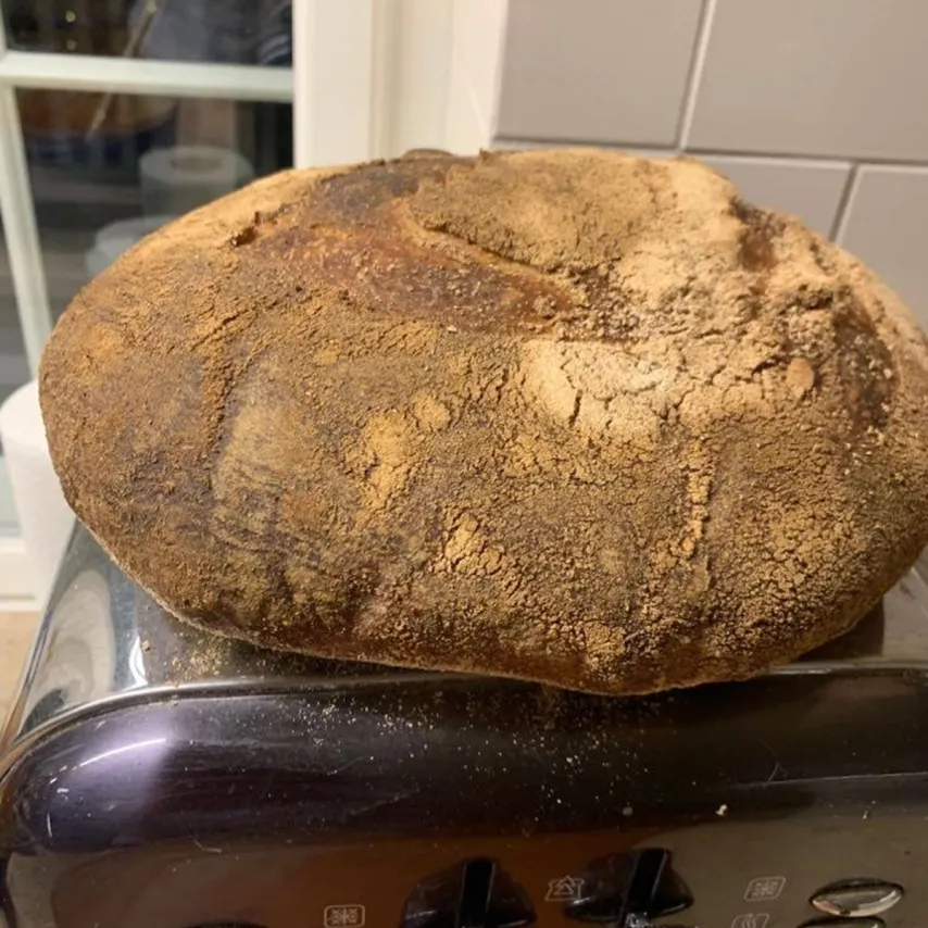 Claus Meyers grove hvedebrød