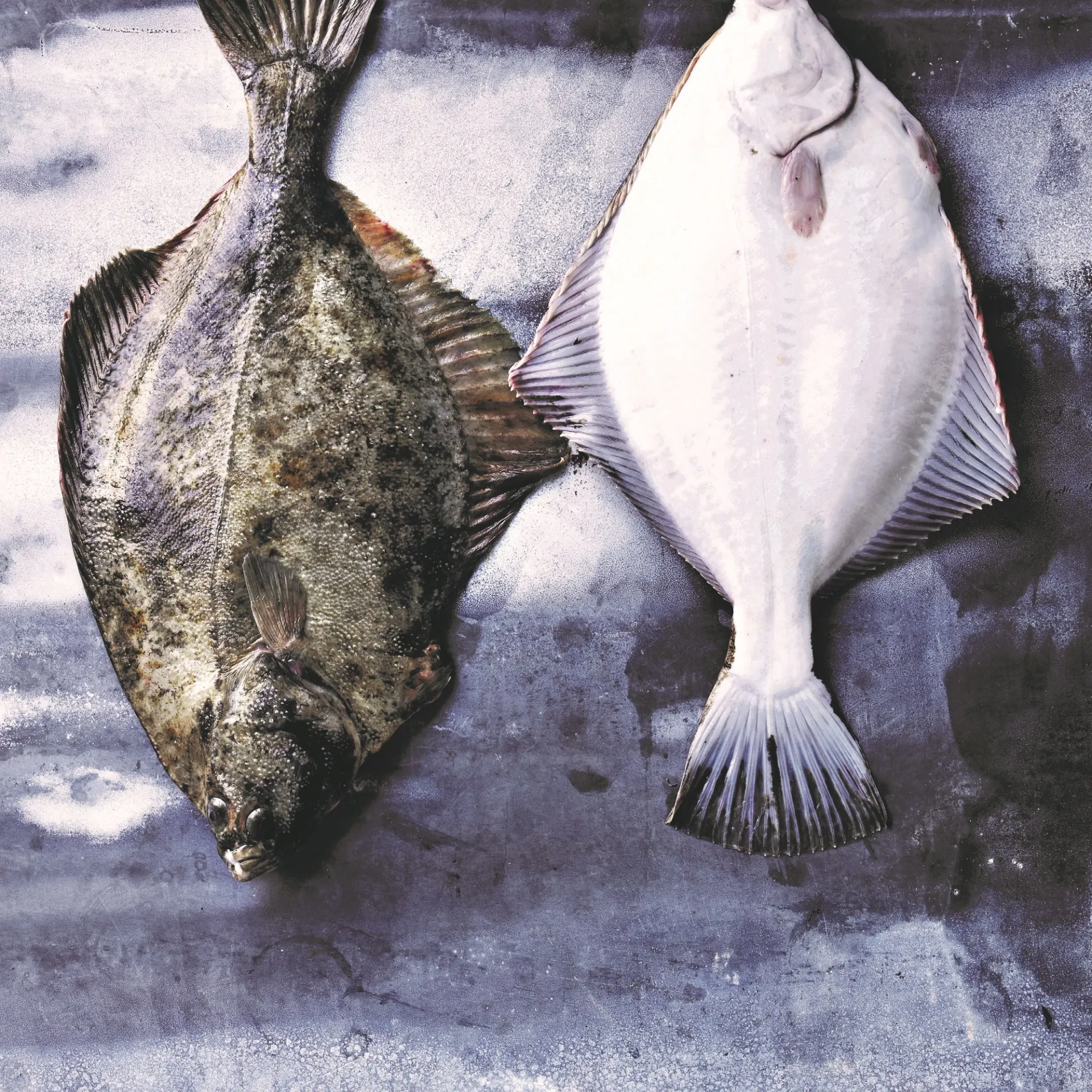 Stegt rødspætte med kartofler og smørsovs