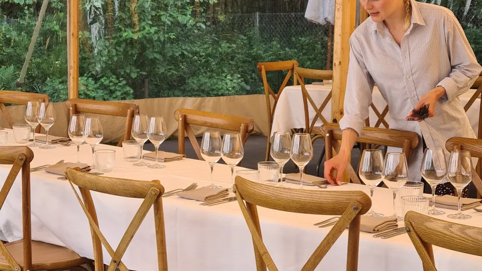 Menu billede