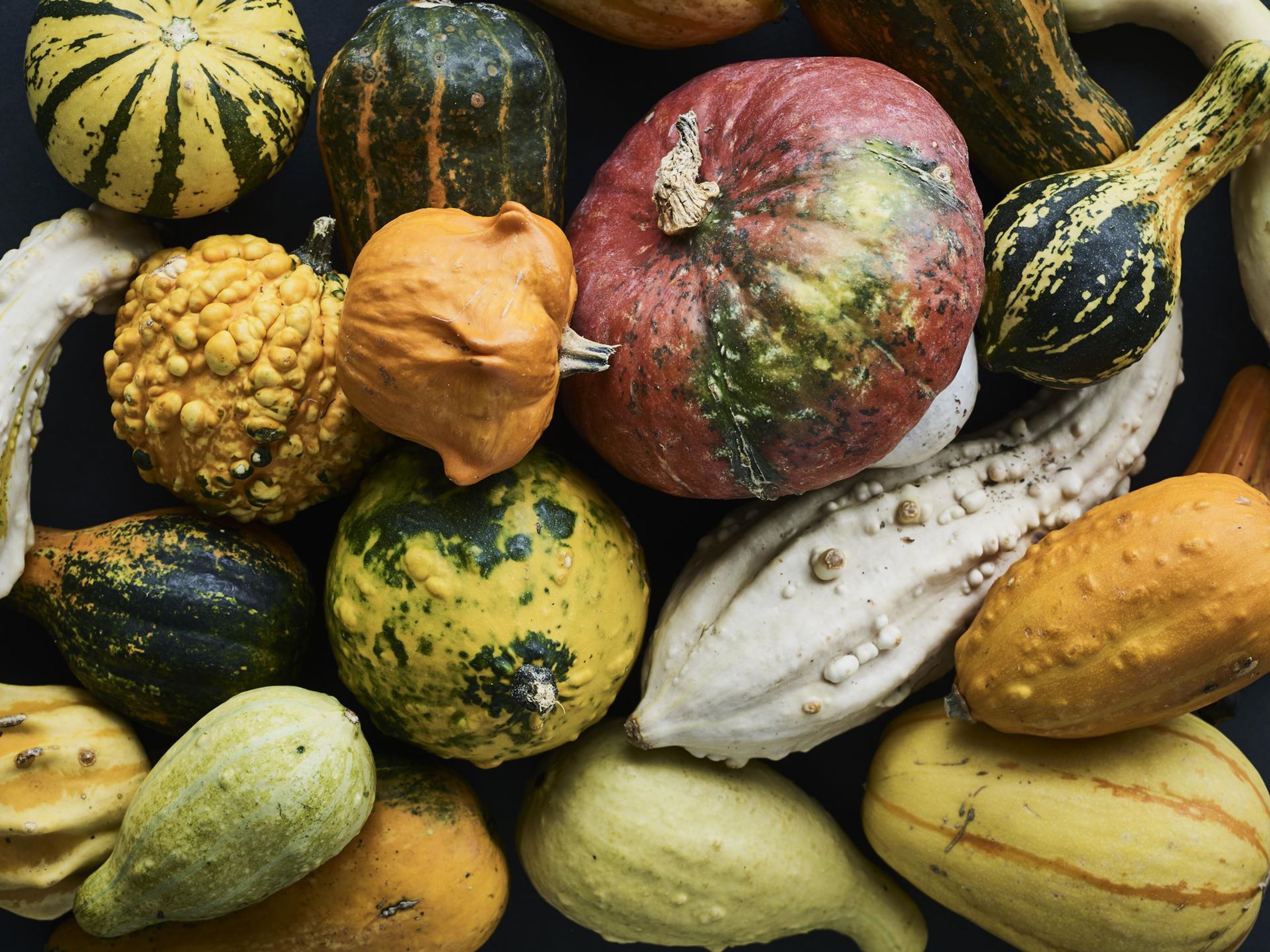 Efterårets fokus er på græskar