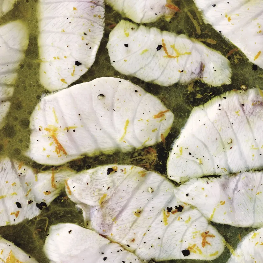 Citrussyltet stenbider