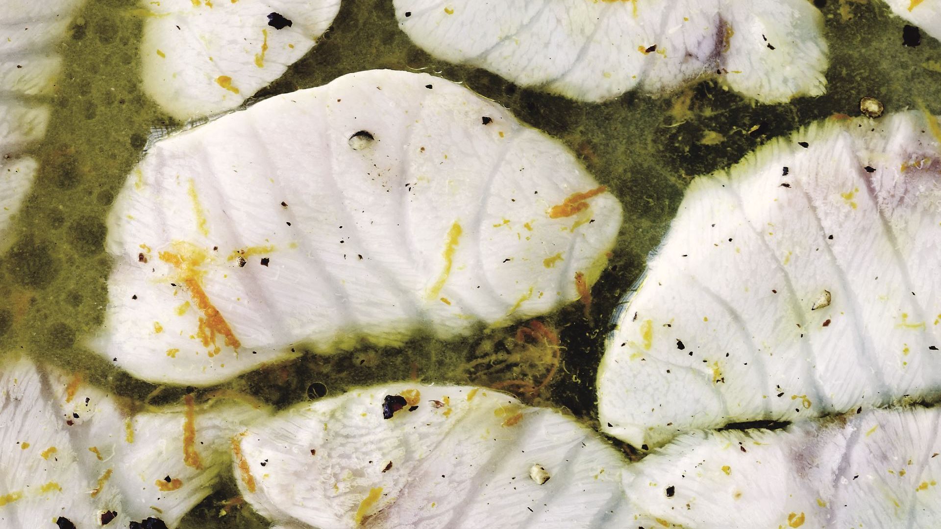 Citrussyltet stenbider