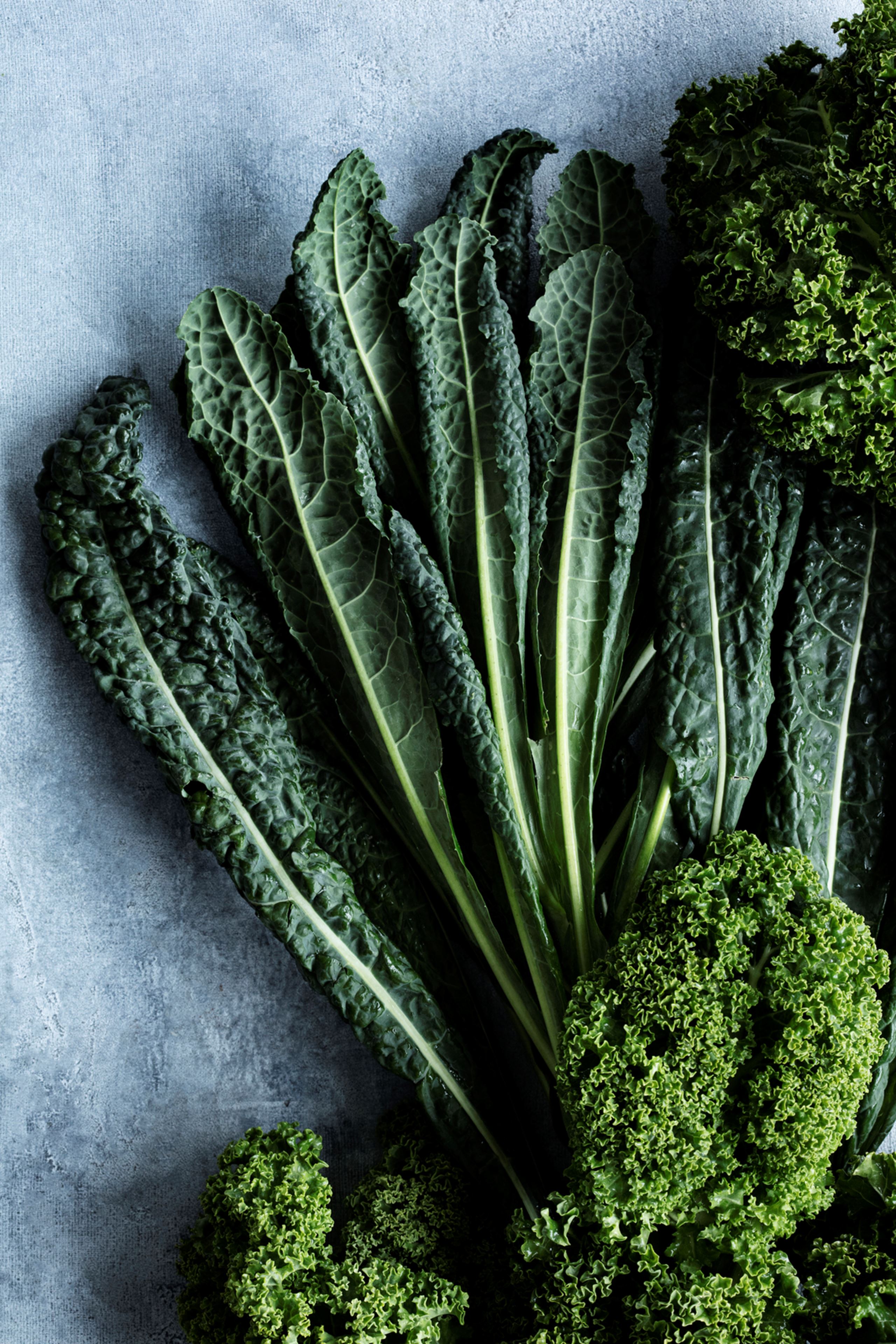 Økologi og madglæde i offentlige køkkener landet over