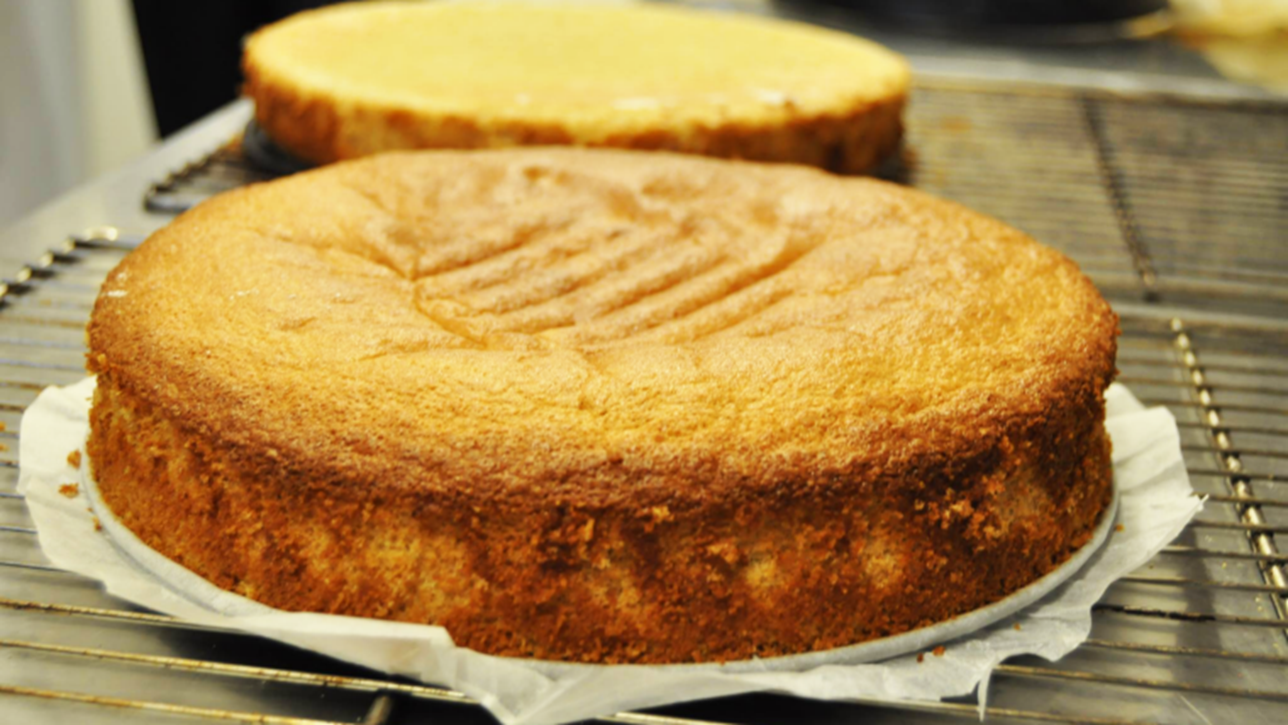 Glutenfri lagkagebunde