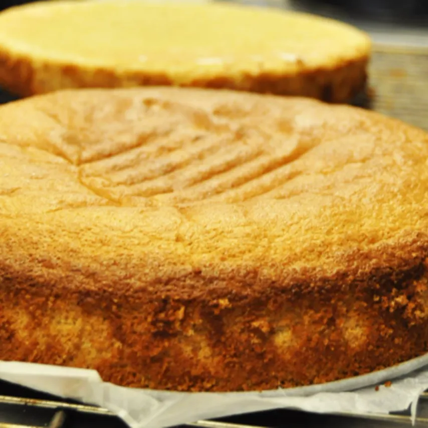 Glutenfri lagkagebunde