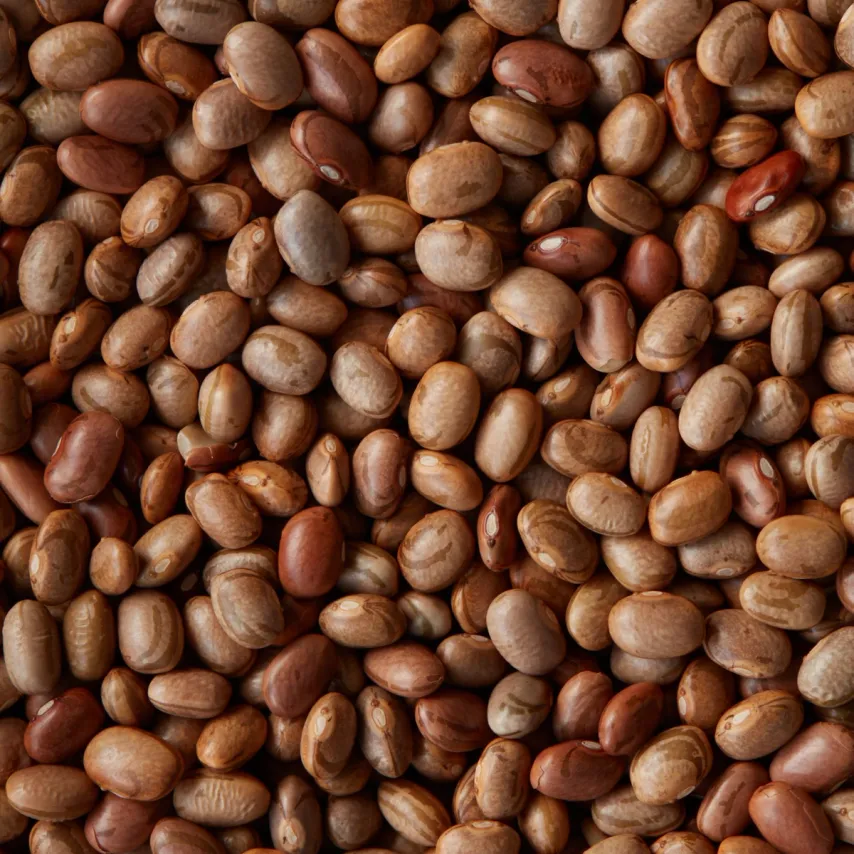 Bliv klog på bælgfrugter