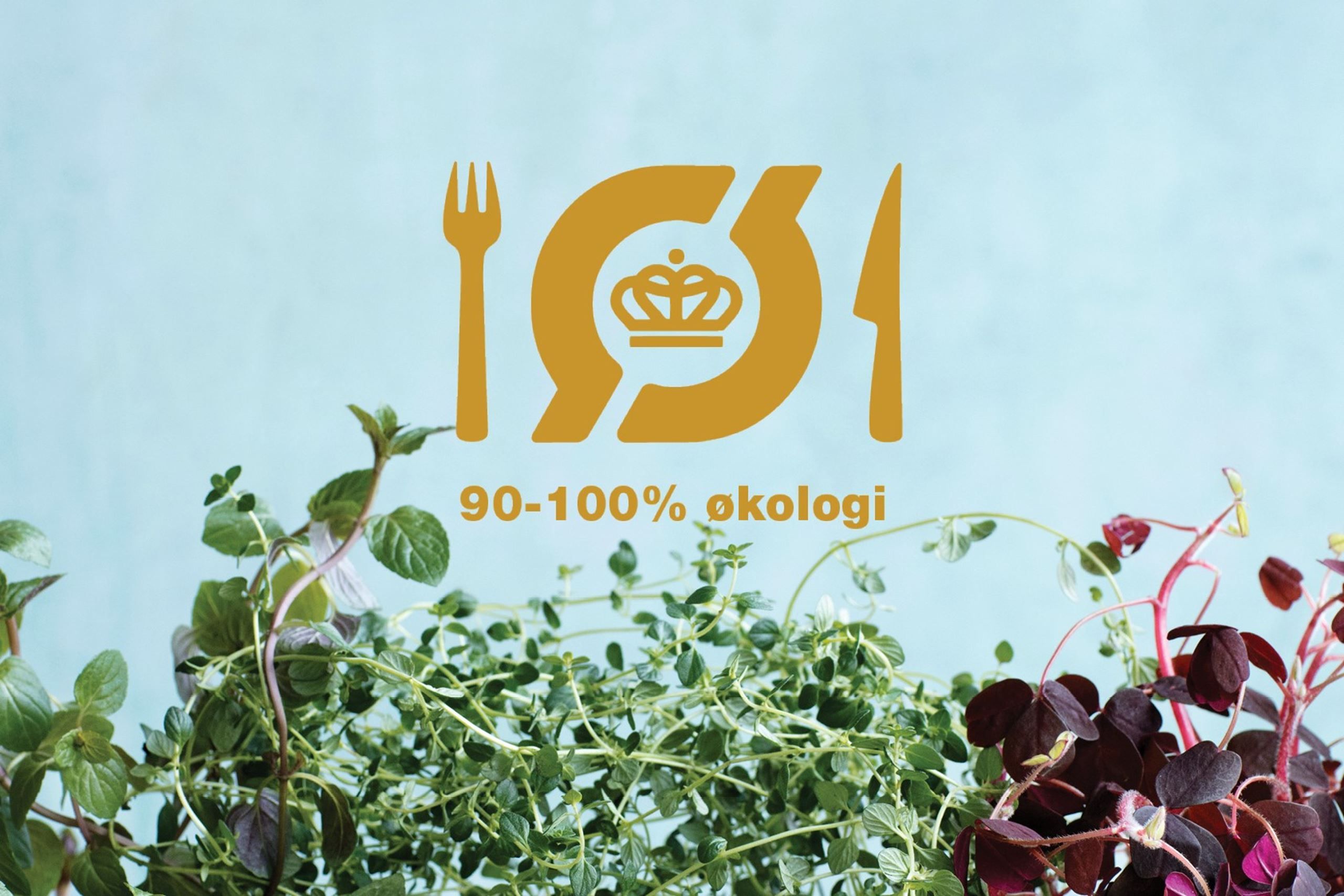 Meyers skal drive ny økologisk kantine for over 1.000 medarbejdere