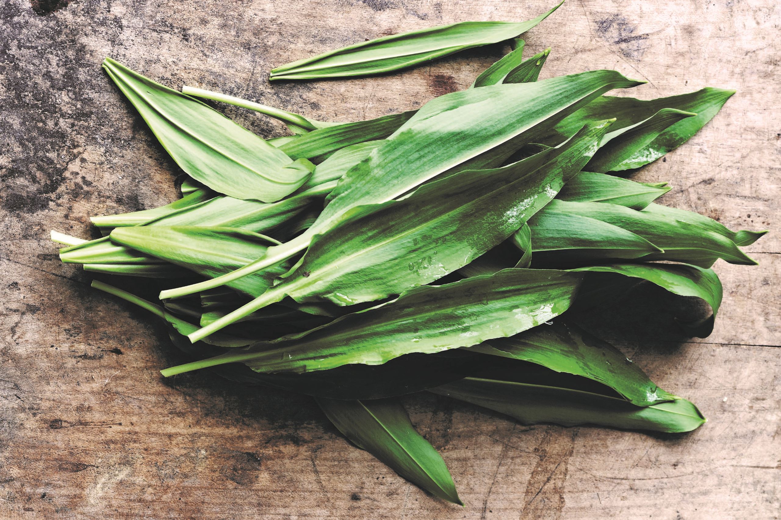 Få meget mere økologi - uden det koster ekstra