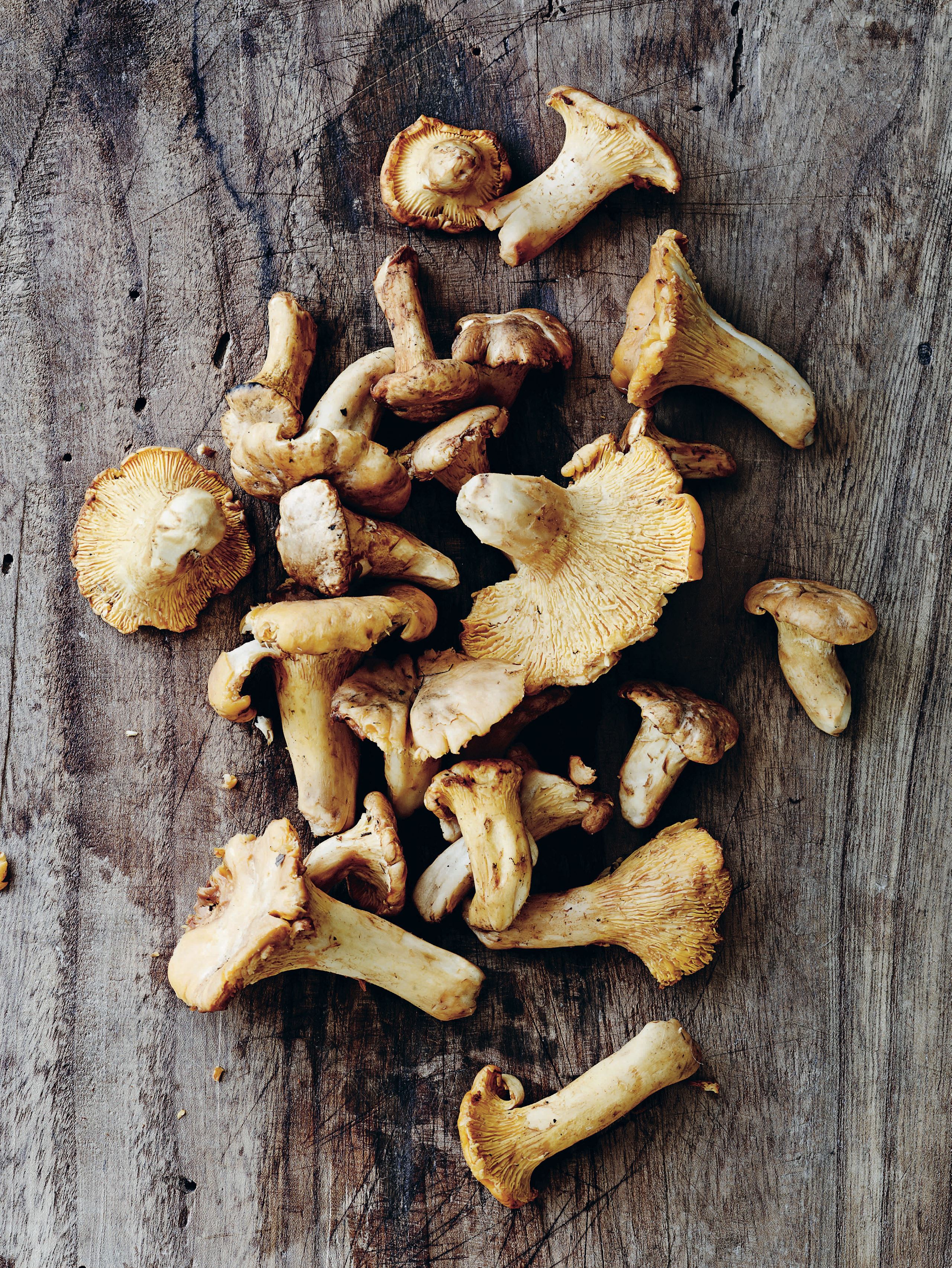 Tørrede kantareller