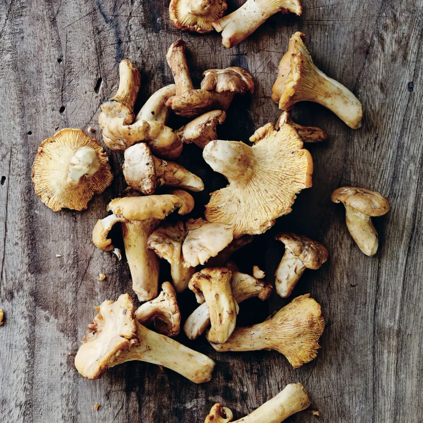 Tørrede kantareller
