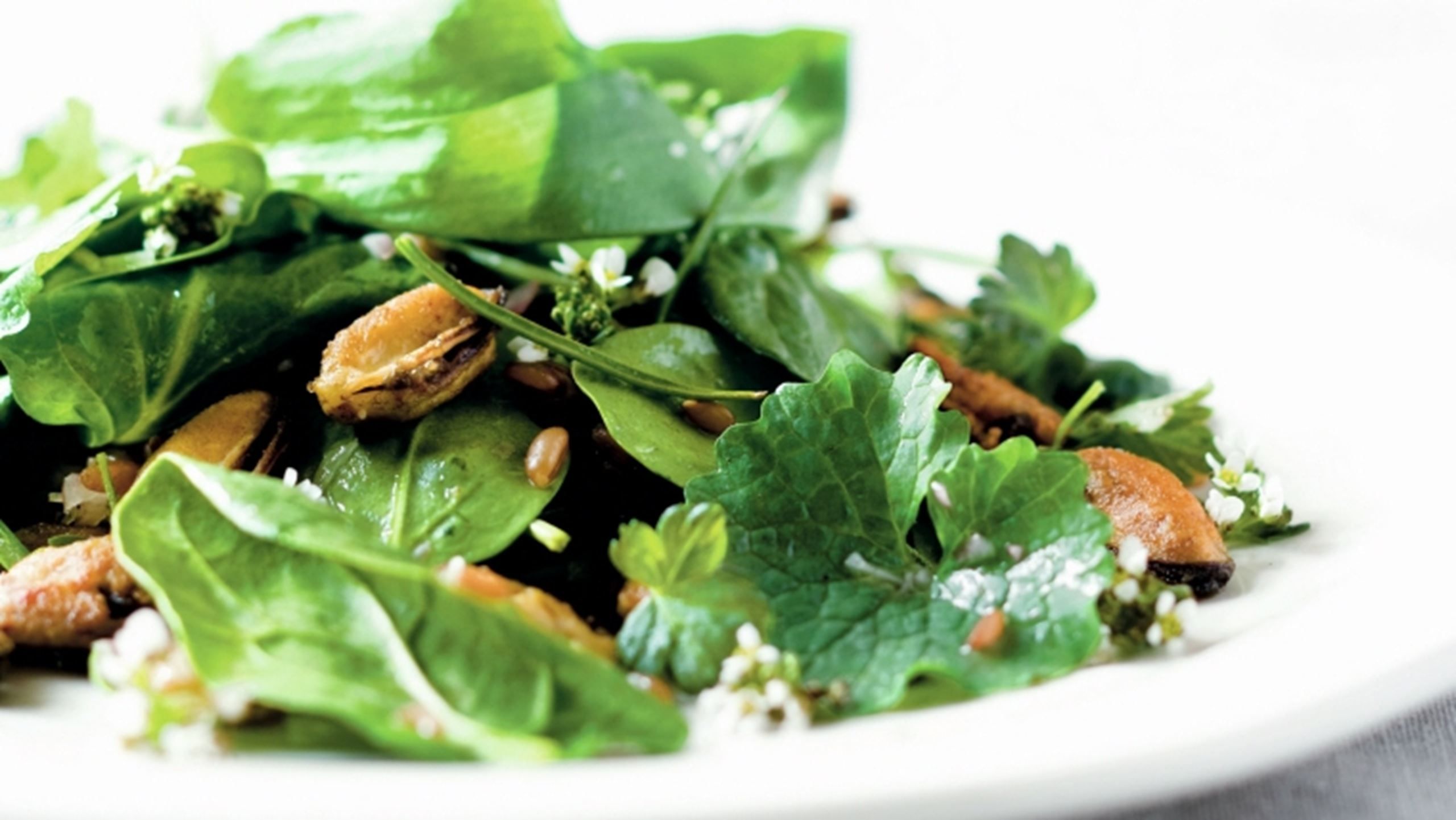 Salat med muslinger, korn og strandurter