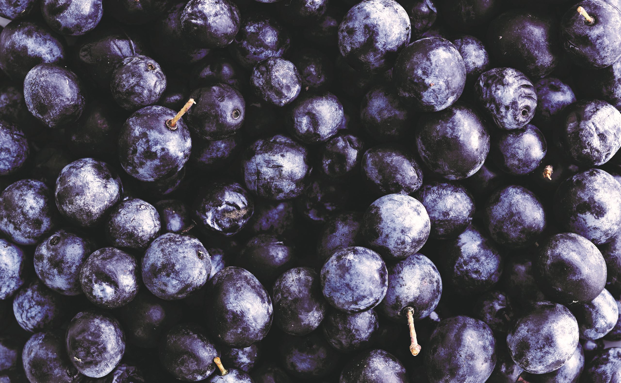 Naturlige farver til dine æg