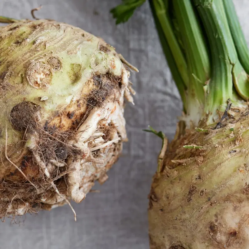 Saltbagt selleri med sprøde æbler, østershatte og estragon