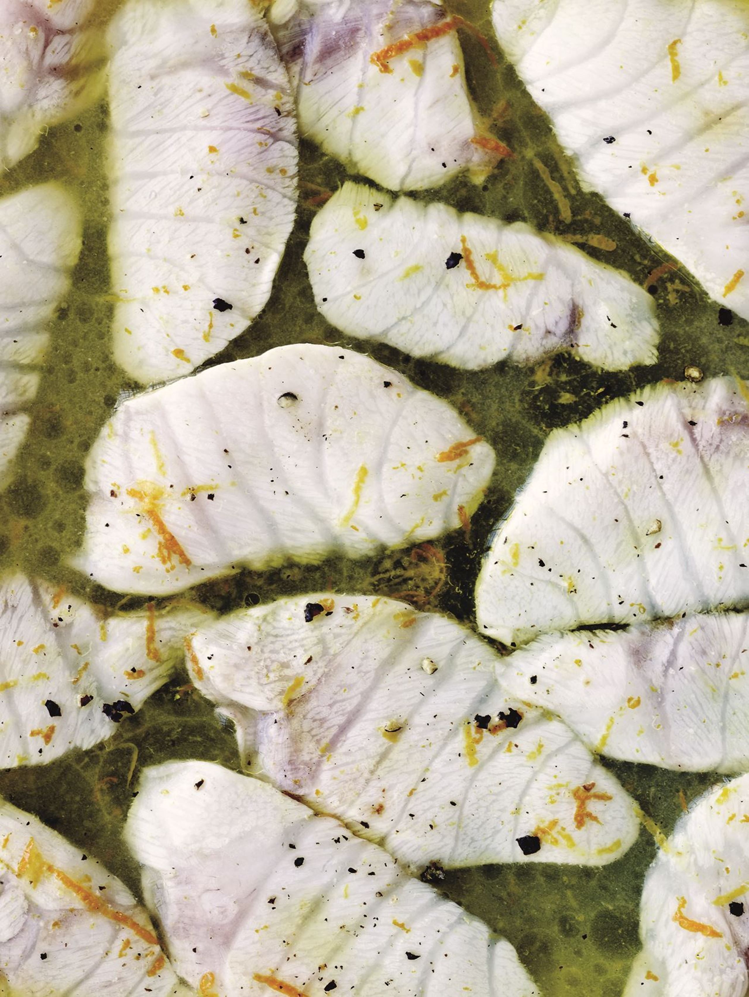 Citrussyltet stenbiderrogn