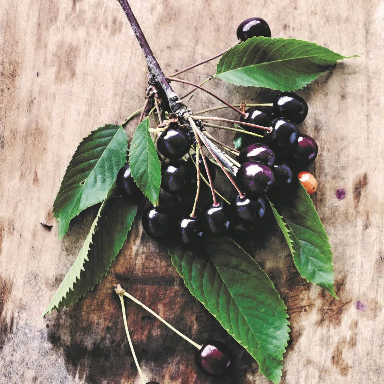 Pluk smagen af sommer