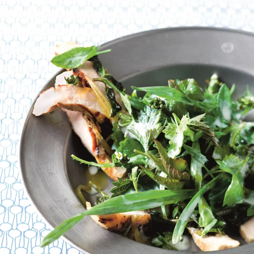 Grillet gris og vilde urter med kærnemælksdressing