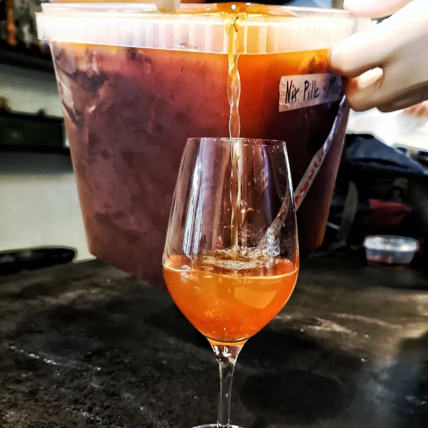 Mads' kaffe kombucha