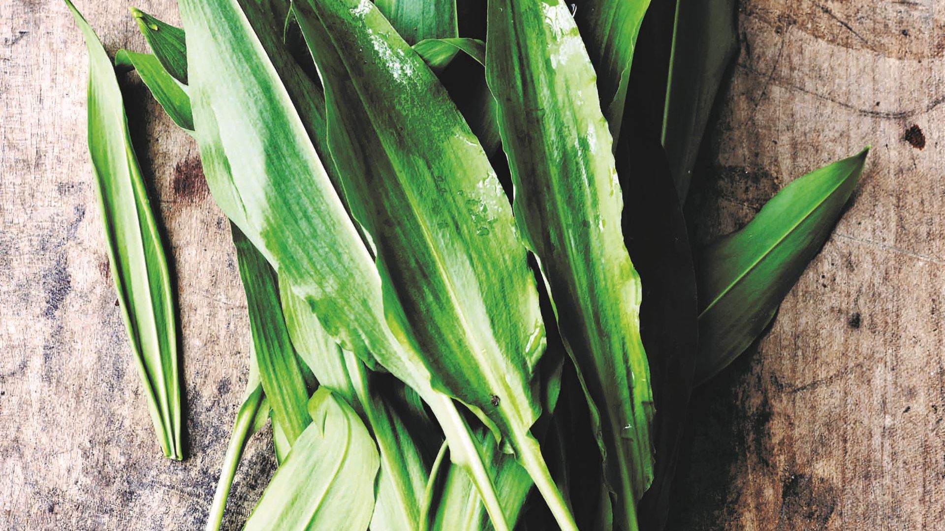 Claus Meyers' kartoffelsuppe med ramsløg og persille