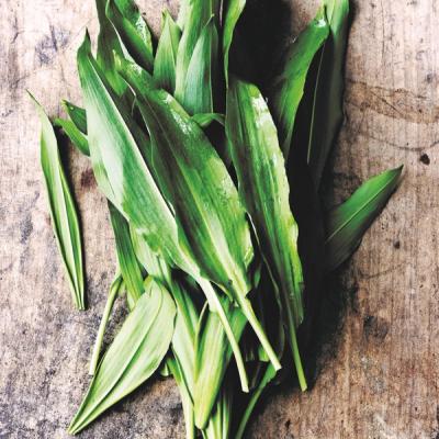 Claus Meyers' kartoffelsuppe med ramslΓΈg og persilleβββββο»Ώβο»Ώββββββο»Ώο»Ώβο»Ώβββββββββο»Ώββββββο»Ώββββββο»Ώβββββββο»Ώβο»Ώββββββο»Ώββββββο»Ώβββο»Ώββββο»Ώβββββββο»Ώο»Ώββββββο»Ώββββββββββο»Ώβββββββββββββββο»Ώβββββββββββο»Ώβββο»Ώβββο»Ώβββο»Ώβο»Ώβο»Ώββββο»Ώο»Ώββο»Ώο»Ώββο»Ώββββββο»Ώβββββββο»Ώβββο»Ώβο»Ώββο»Ώββο»Ώβο»Ώββββββο»Ώββββββο»Ώβββο»Ώββββο»Ώββο»Ώβο»Ώβο»Ώβββο»Ώββββββββββββο»Ώο»Ώββο»Ώο»Ώββββββο»Ώββο»Ώββββββββο»Ώββο»Ώββββο»Ώο»Ώβββββββββββββο»Ώββββο»Ώο»Ώββο»Ώβββο»Ώο»Ώβββββββββο»Ώο»Ώββο»Ώβββο»Ώβββββββο»Ώβο»Ώββββββο»Ώββο»Ώβββββββο»Ώββββββββο»Ώο»Ώββο»Ώββο»Ώβο»Ώβββββββββο»Ώο»Ώββο»Ώβββο»Ώβββο»Ώβββο»Ώβββο»Ώβββο»Ώβο»Ώβββββο»Ώββββο»Ώββββββο»Ώβο»Ώβο»Ώβο»Ώβο»Ώββββο»Ώββο»Ώβββββββο»Ώβββο»Ώββββο»Ώββββββο»Ώβββο»Ώβββο»Ώββββο»Ώββο»Ώβββββββο»Ώβββο»Ώβββο»Ώβββο»Ώβο»Ώβββο»Ώβο»Ώβο»Ώβο»Ώβββββββο»Ώβββο»Ώβββο»Ώβο»Ώβο»Ώβββο»Ώβββο»Ώβββββββο»Ώο»Ώββο»Ώβββββββββο»Ώβββββο»Ώβββββββο»Ώβο»Ώβο»Ώβββββββο»Ώβββββββο»Ώο»Ώβββββββο»Ώββββββββο»Ώββββββο»Ώβββββββο»Ώββο»Ώβββο»Ώο»Ώο»Ώβββββββββο»Ώβο»Ώβββββββββο»Ώββββο»Ώββο»Ώο»Ώββββββο»Ώβββο»Ώβββο»Ώβββο»Ώβο»Ώβββββο»Ώβο»Ώβββββββββο»Ώβββββββββββο»Ώββββββββο»Ώββββββο»Ώβββββββο»Ώβββο»Ώβο»Ώββο»Ώββο»Ώβο»Ώββββββο»Ώββββββο»Ώβββο»Ώββββο»Ώββο»Ώβο»Ώβο»Ώβββο»Ώββββββββββββο»Ώο»Ώβββββββββββββο»Ώο»Ώββο»Ώβββο»Ώβββο»Ώβββο»Ώβββο»Ώβββο»Ώβο»Ώβββββο»Ώββββο»Ώββββββο»Ώβο»Ώβο»Ώβο»Ώβο»Ώββββο»Ώββο»Ώβββββββο»Ώβββο»Ώββββο»Ώββββββο»Ώβββο»Ώβββο»Ώββββο»Ώββο»Ώβββββββο»Ώβββο»Ώβββο»Ώβββο»Ώβο»Ώβββο»Ώβο»Ώβο»Ώβο»Ώβββββββο»Ώβββο»Ώβββββββο»Ώβββο»Ώβββο»Ώβββββββο»Ώο»Ώββο»Ώβββββββββο»Ώβββββο»Ώβββββββββββο»Ώβββββββο»Ώβββββββο»Ώο»Ώβββββββο»Ώββββββββο»Ώββββββο»Ώβββββββο»Ώββο»Ώβββββββο»Ώβββββββο»Ώβββο»Ώβο»Ώβο»Ώβββββββββο»Ώβο»Ώβββββββο»Ώβββββββο»Ώο»Ώββο»Ώβββο»Ώββββββββο»Ώββββββο»Ώβο»Ώβββββββββββββββββο»Ώο»Ώβ