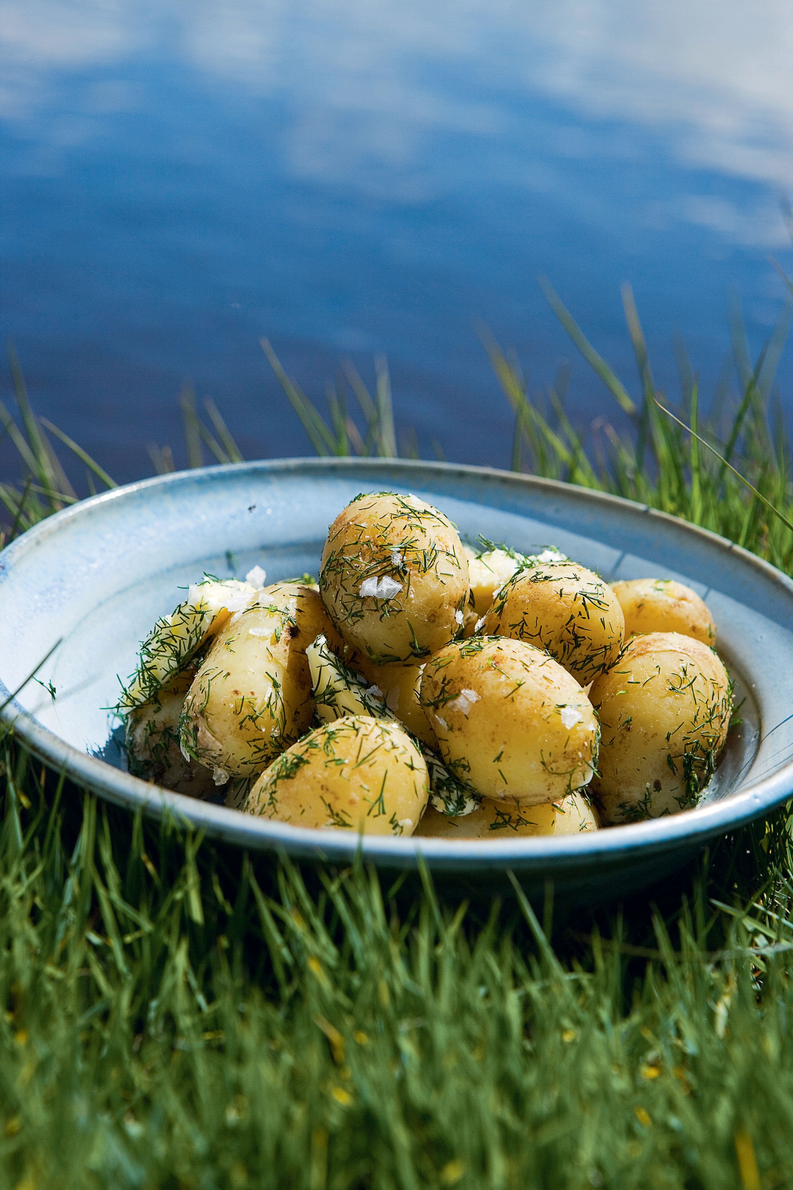 Nye kartofler med dild, smør og salt