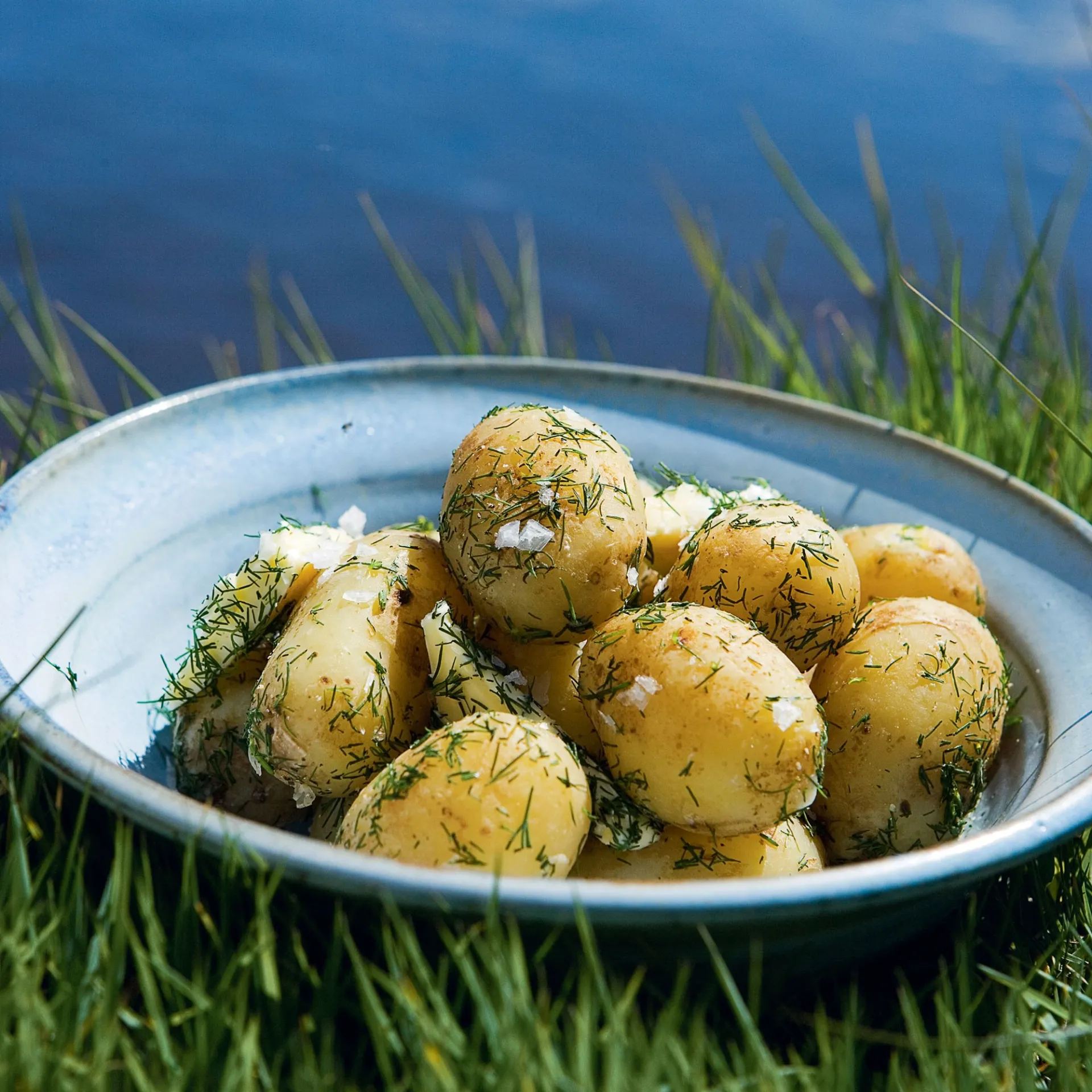 Nye kartofler med dild, smør og salt