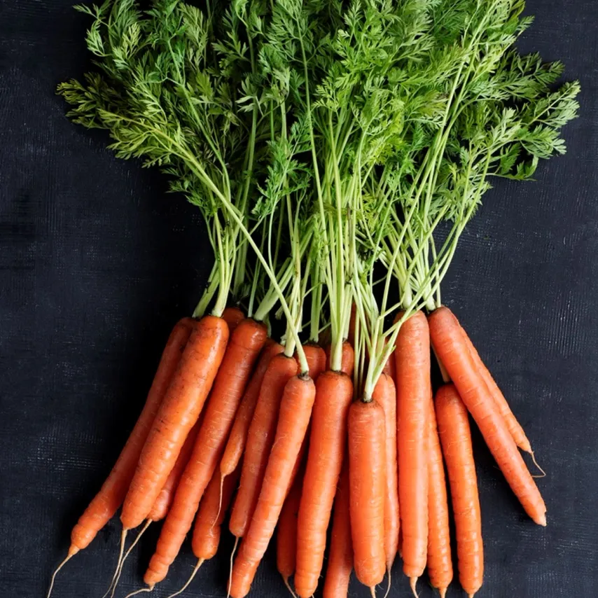 Bagte og sprøde gulerødder med gulerodspuré