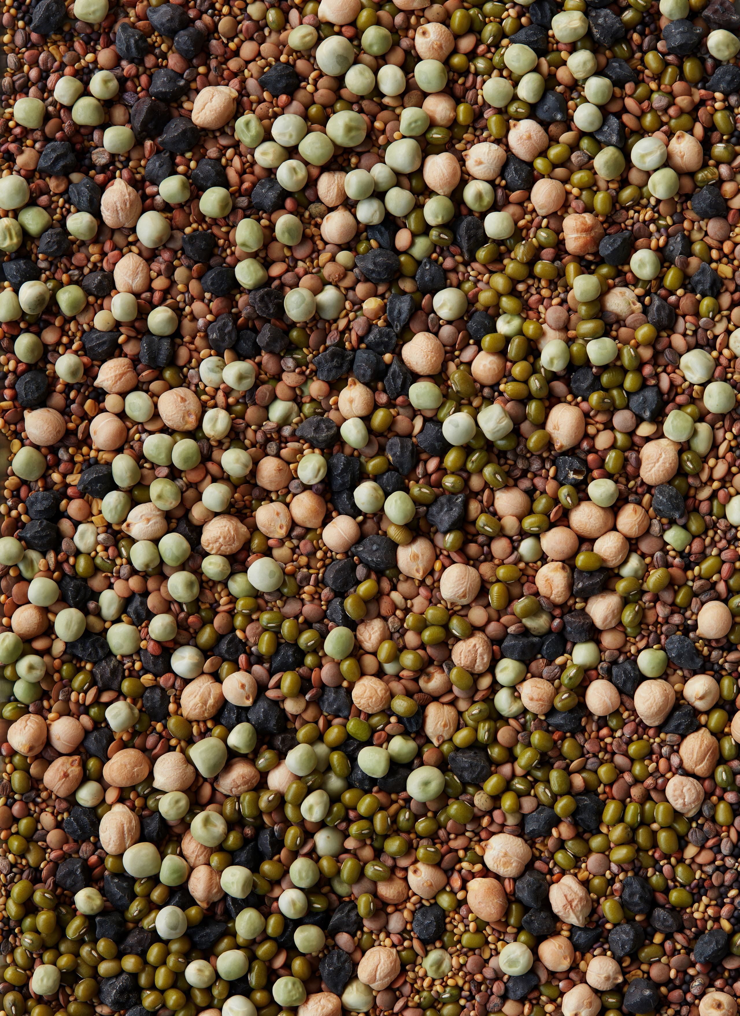 Meyers til Madkulturen: I har ret – vi har et ansvar for grønnere madvaner