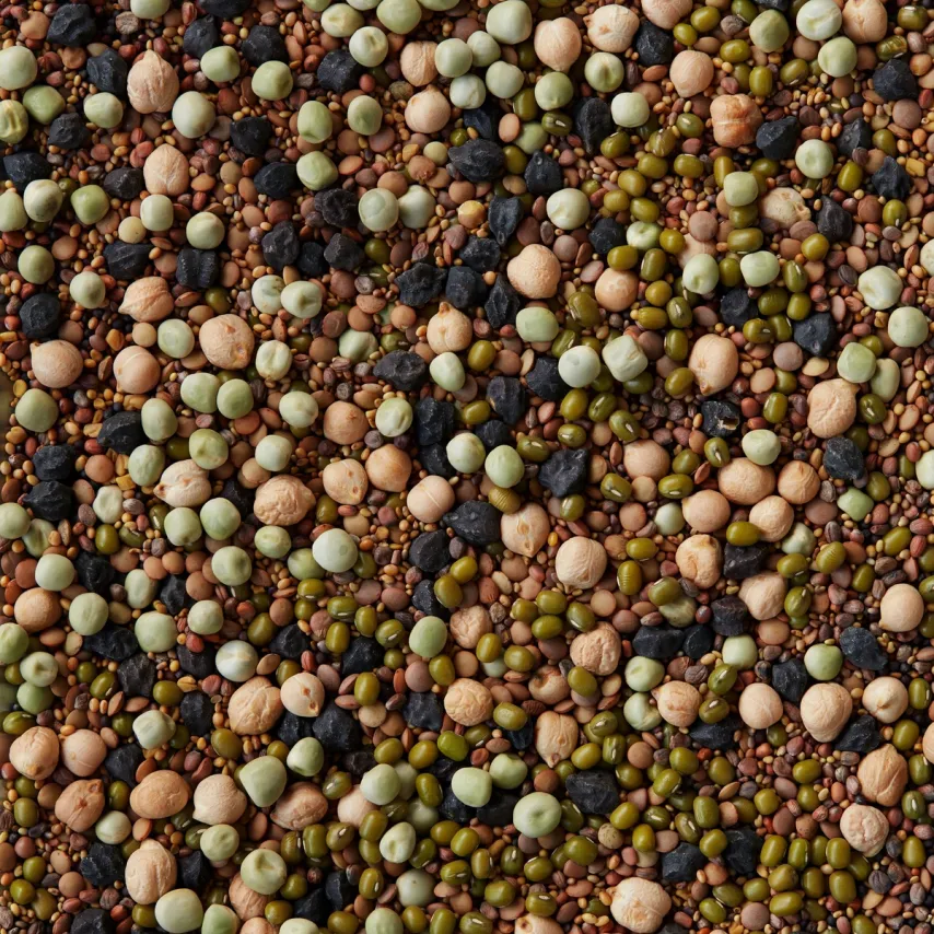 Meyers til Madkulturen: I har ret – vi har et ansvar for grønnere madvaner