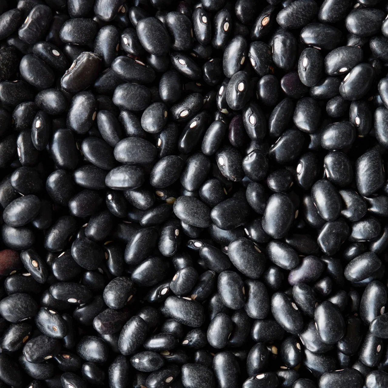 Sorte bønner