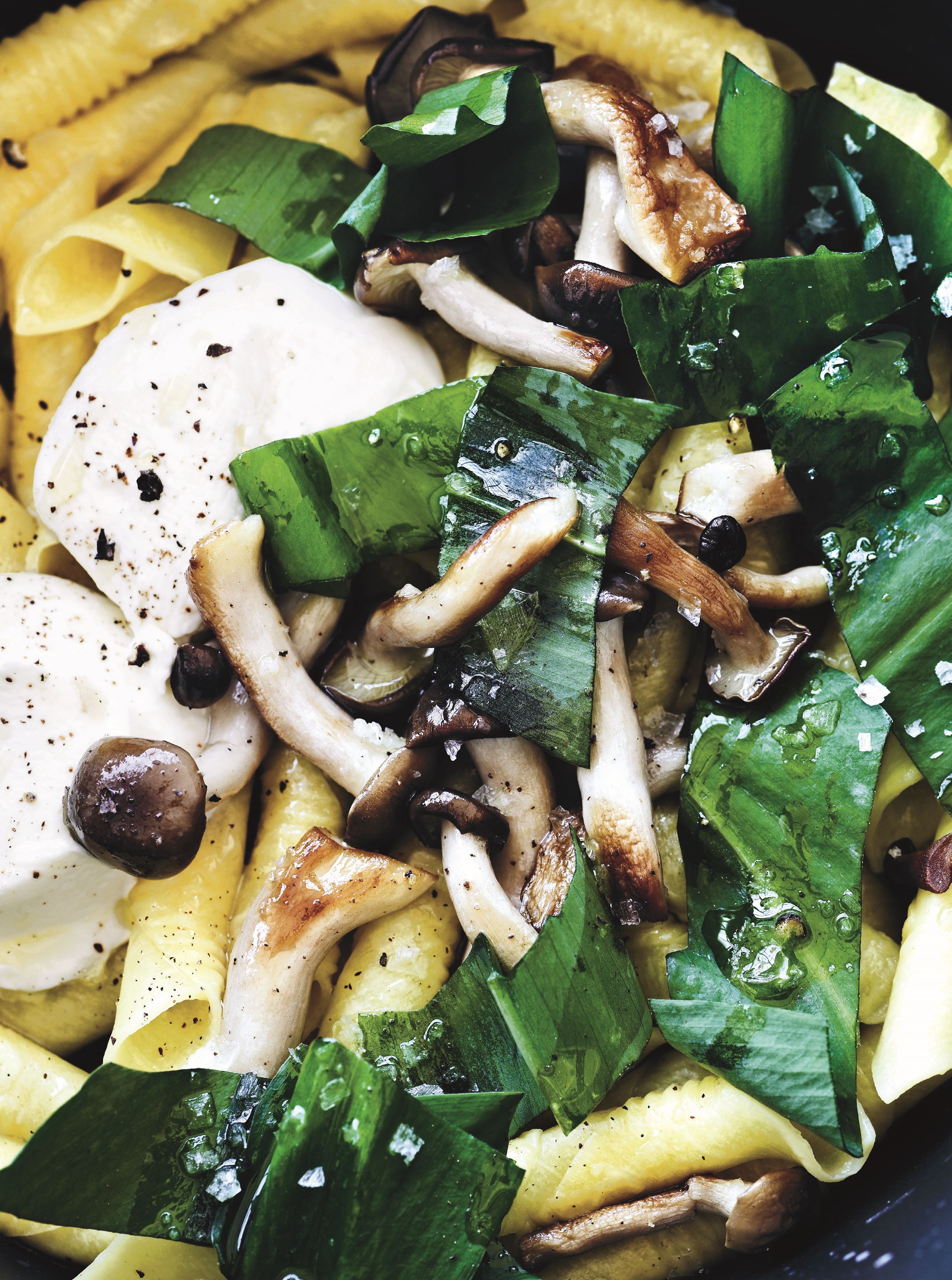 Garganelli med ramsløg, forårssvampe og friskost
