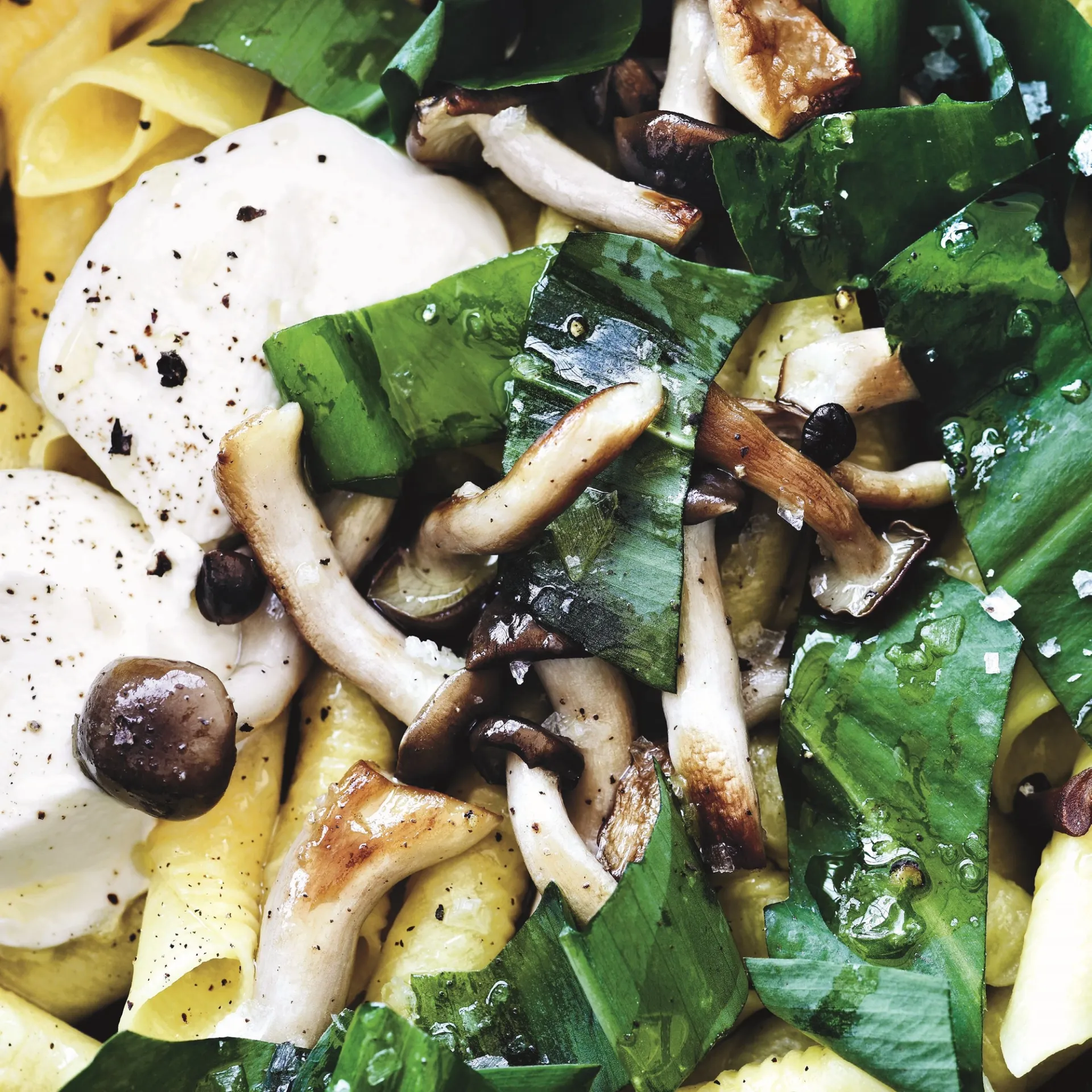 Garganelli med ramsløg, forårssvampe og friskost