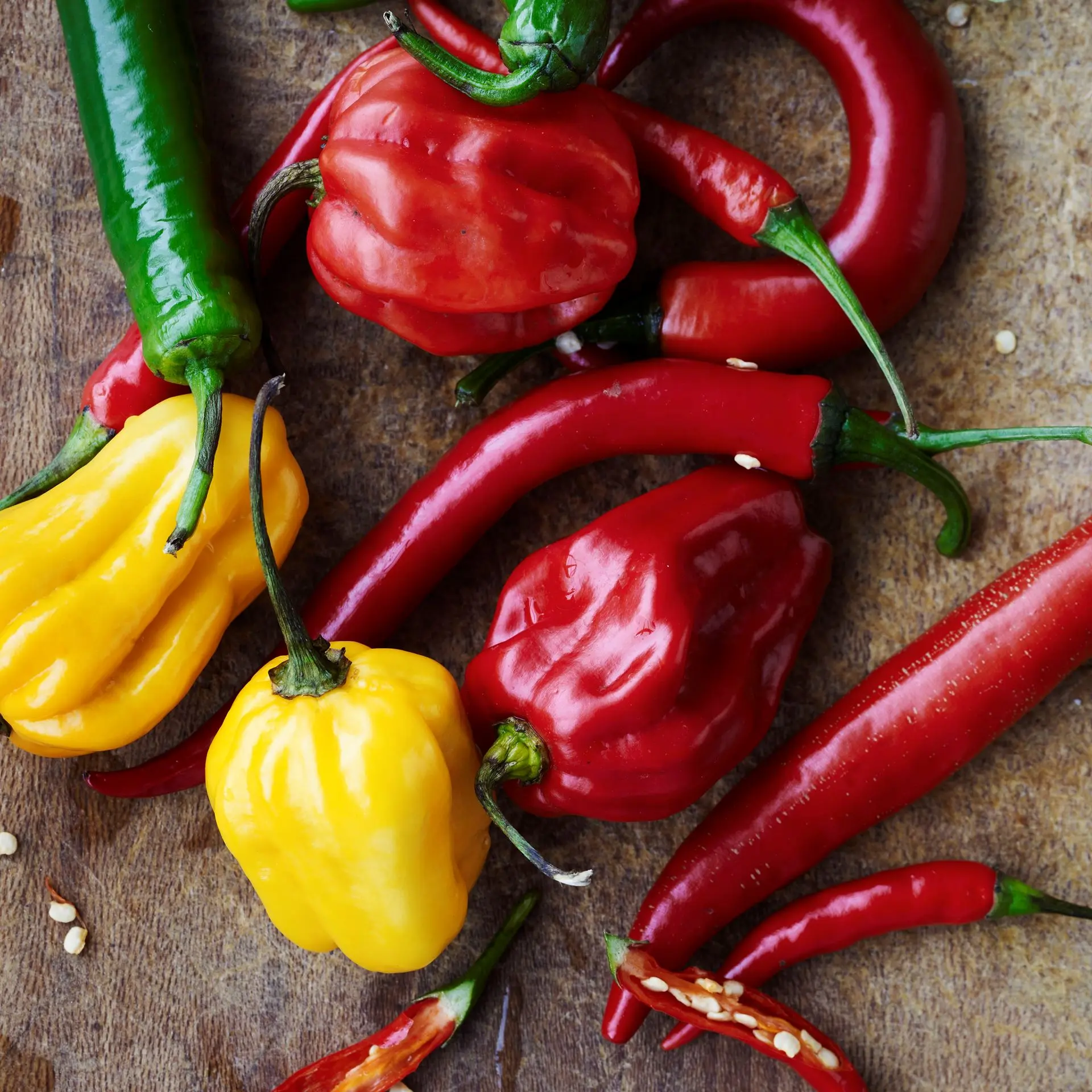 Beef rendang - langtidsbraiseret okse i kokosmælk