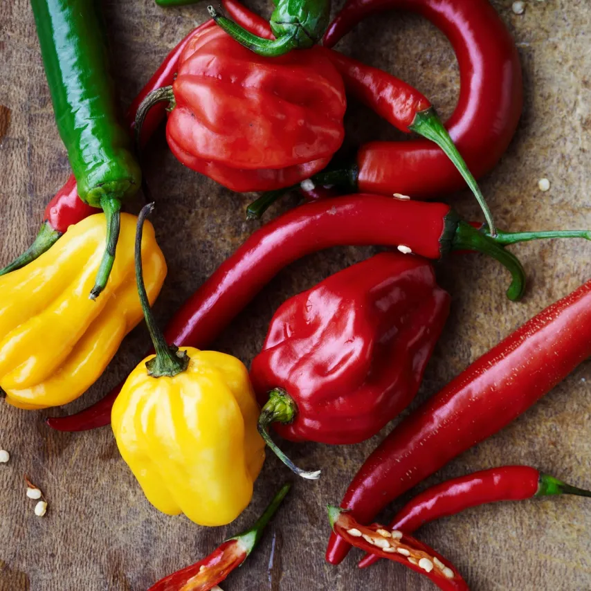 Beef rendang - langtidsbraiseret okse i kokosmælk