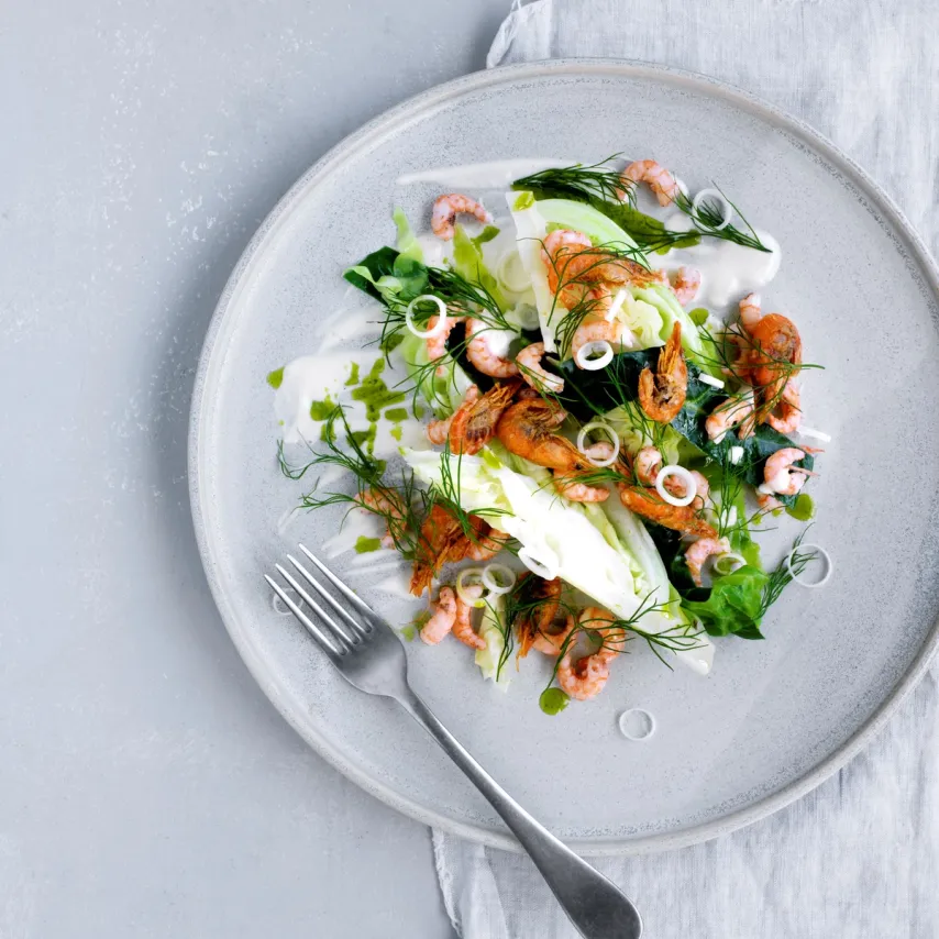 Fjordrejer med dampet spidskål, dildolie og fløde