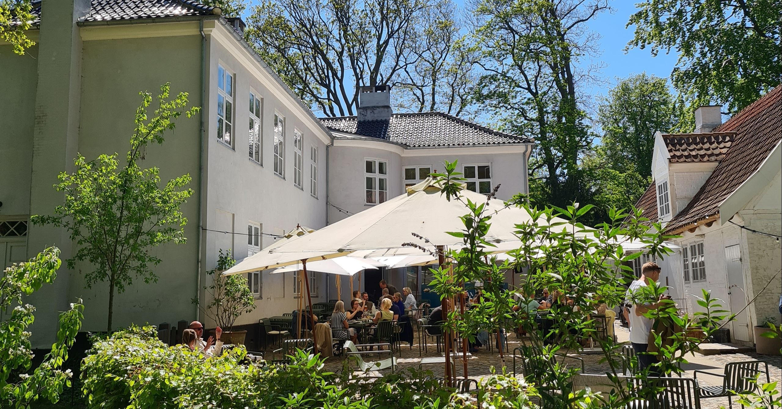 Sæsonerne er ledestjernen, når Fasangården serverer grønne smørrebrød 
