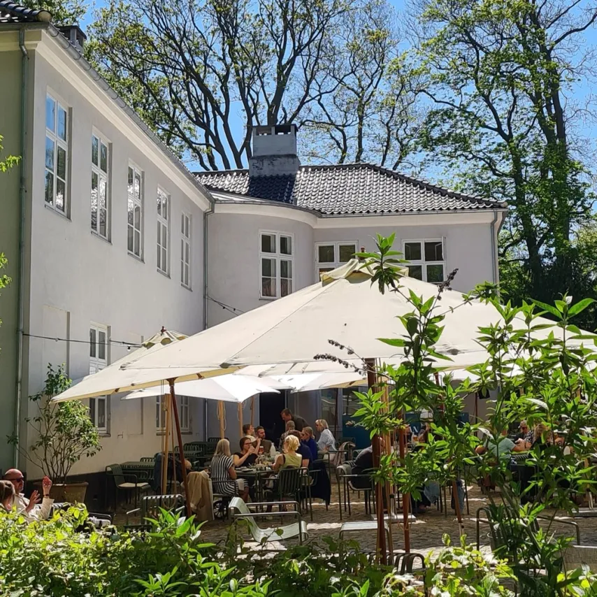 Sæsonerne er ledestjernen, når Fasangården serverer grønne smørrebrød