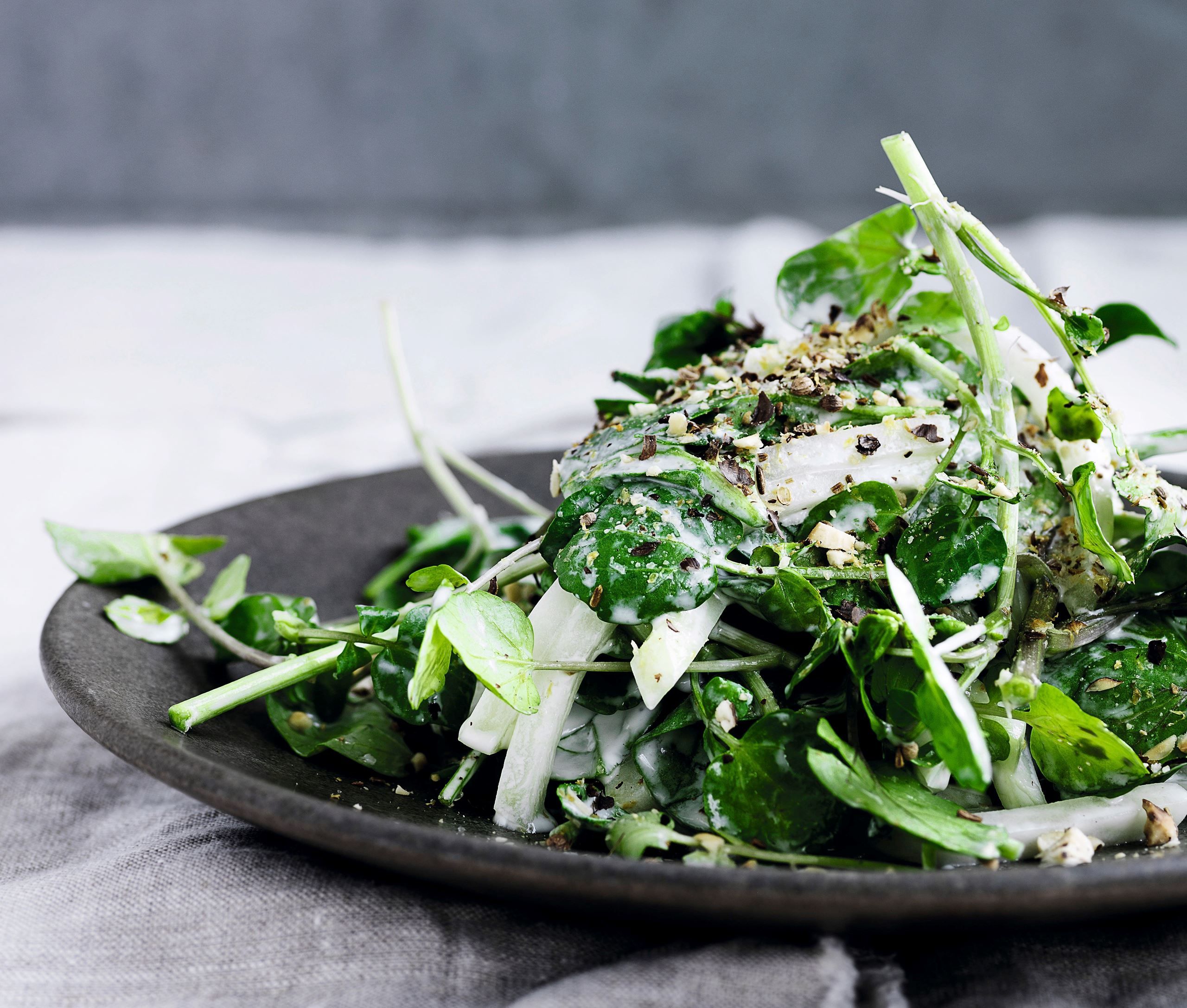 Spidskålssalat med gedefeta og melon