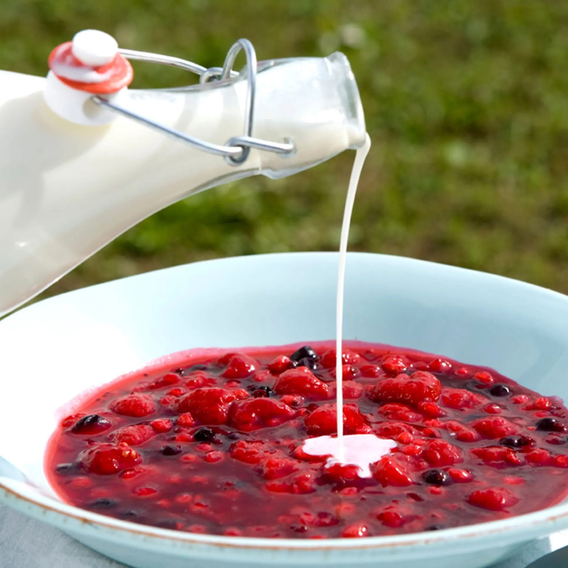 Rødgrød med fløde