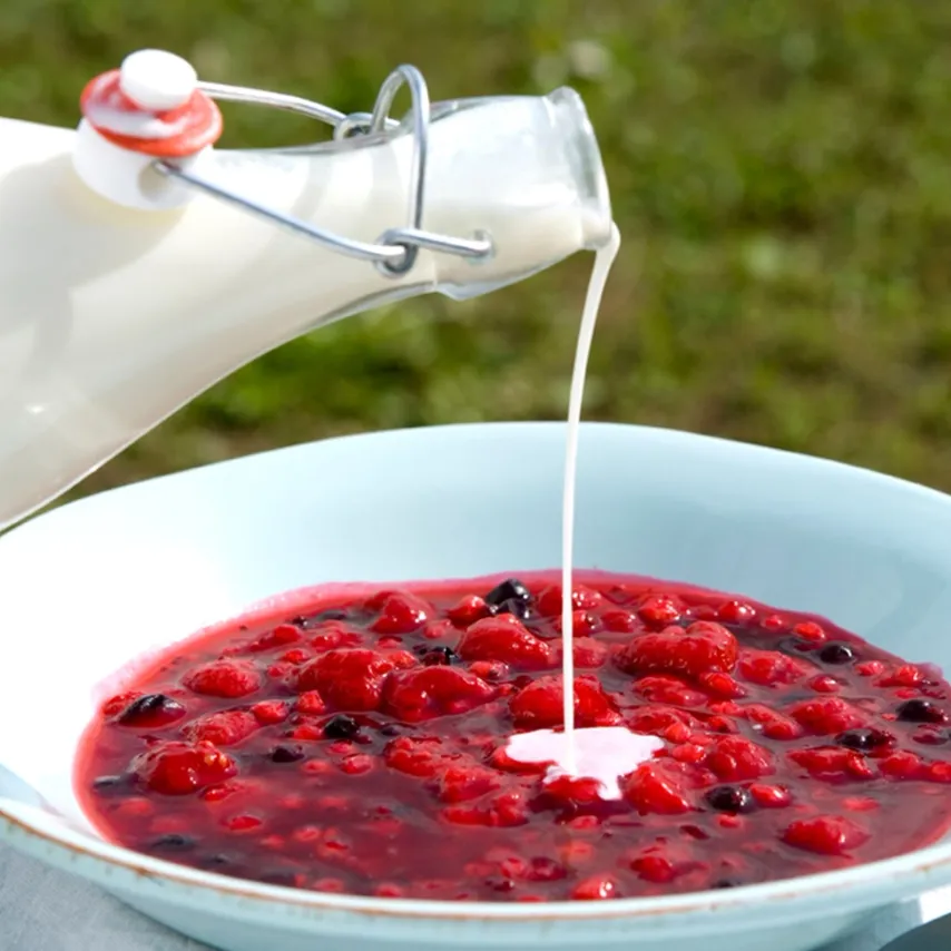 Rødgrød med fløde