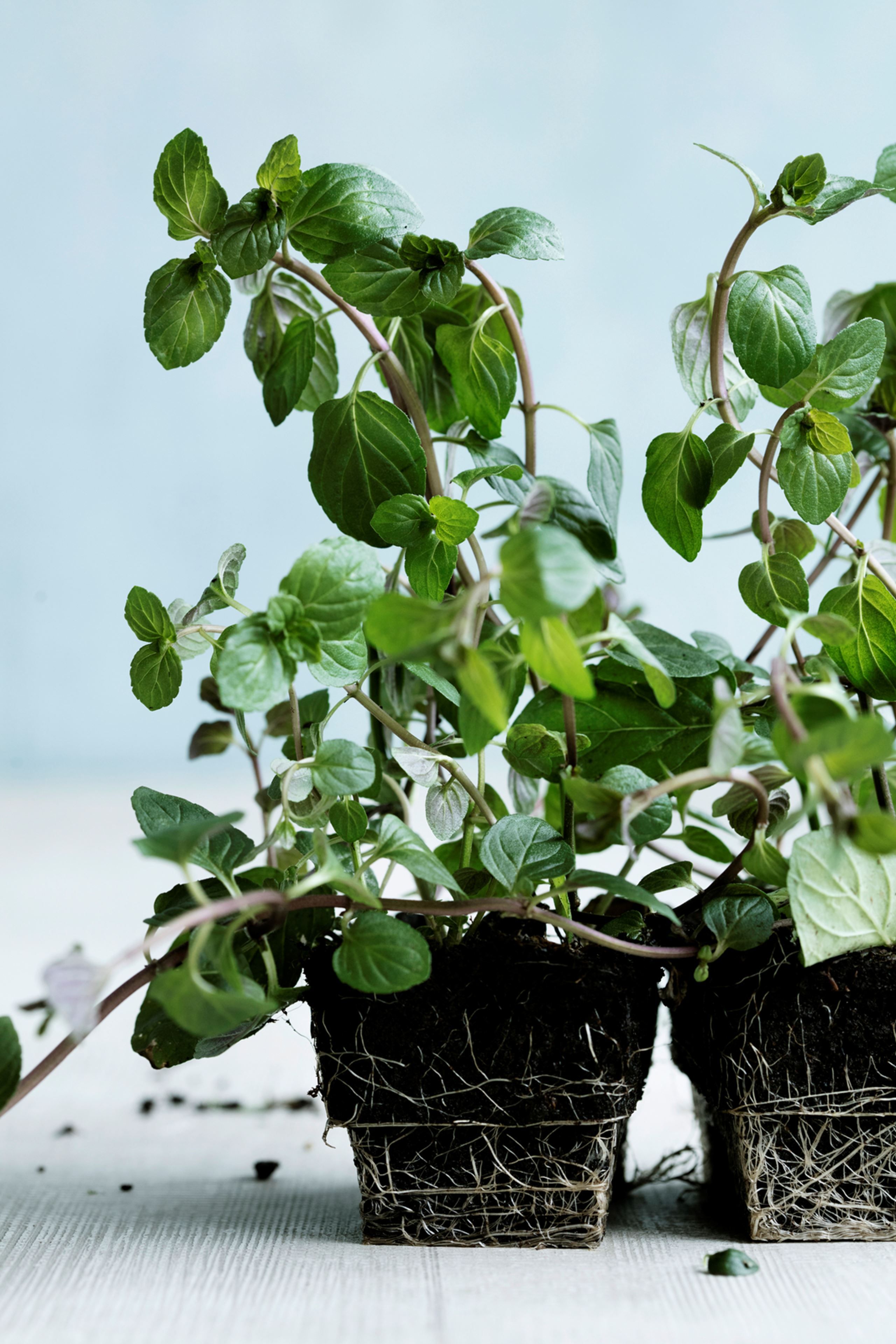 Krydret couscous med agurk, mynte og rosiner