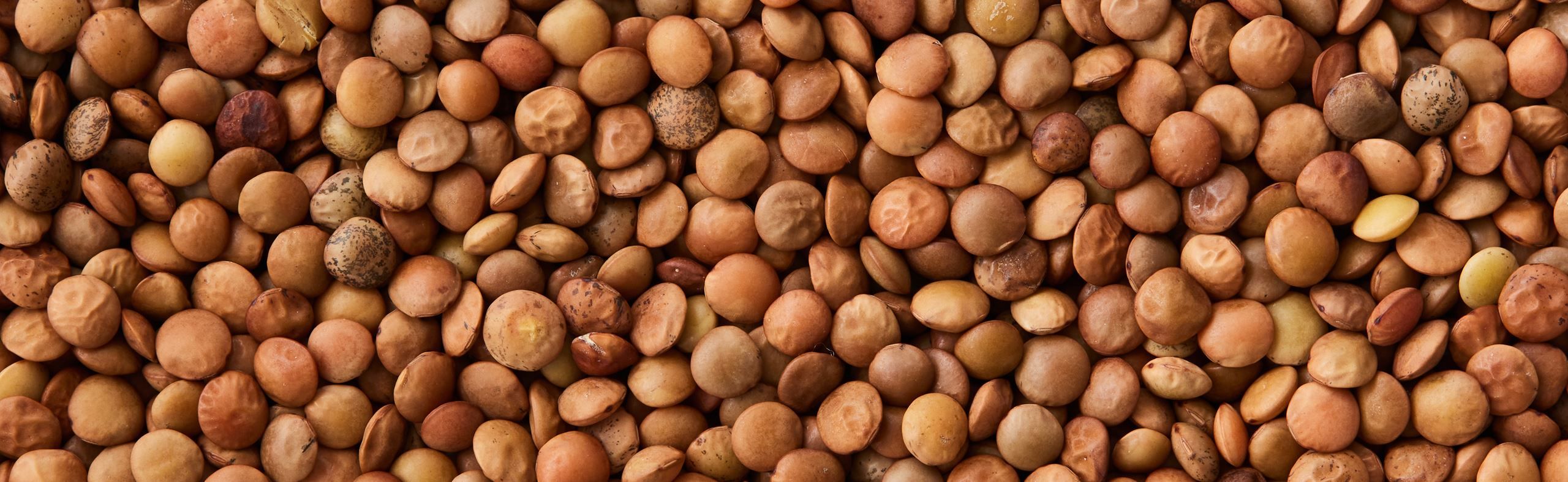 Kobberlinser​​​​‌﻿‍﻿​‍​‍‌‍﻿﻿‌﻿​‍‌‍‍‌‌‍‌﻿‌‍‍‌‌‍﻿‍​‍​‍​﻿‍‍​‍​‍‌﻿​﻿‌‍​‌‌‍﻿‍‌‍‍‌‌﻿‌​‌﻿‍‌​‍﻿‍‌‍‍‌‌‍﻿﻿​‍​‍​‍﻿​​‍​‍‌‍‍​‌﻿​‍‌‍‌‌‌‍‌‍​‍​‍​﻿‍‍​‍​‍‌‍‍​‌﻿‌​‌﻿‌​‌﻿​​​﻿‍‍​‍﻿﻿​‍﻿﻿‌‍﻿​‌‍﻿﻿‌‍​﻿‌‍​‌‌‍﻿​‌‍‍​‌‍﻿﻿‌﻿​﻿‌﻿‌​​﻿‍‍​﻿​﻿​﻿​﻿​﻿​﻿​﻿​﻿​‍﻿﻿‌‍‍‌‌‍﻿‍‌﻿‌​‌‍‌‌‌‍﻿‍‌﻿‌​​‍﻿﻿‌‍‌‌‌‍‌​‌‍‍‌‌﻿‌​​‍﻿﻿‌‍﻿‌‌‍﻿﻿‌‍‌​‌‍‌‌​﻿﻿‌‌﻿​​‌﻿​‍‌‍‌‌‌﻿​﻿‌‍‌‌‌‍﻿‍‌﻿‌​‌‍​‌‌﻿‌​‌‍‍‌‌‍﻿﻿‌‍﻿‍​﻿‍﻿‌‍‍‌‌‍‌​​﻿﻿‌​﻿‍​​﻿‍​​﻿‍‌​﻿‌﻿​﻿​‌​﻿​​‌‍‌‍‌‍‌‍​‍﻿‌‌‍‌‌​﻿​﻿​﻿​﻿‌‍​‍​‍﻿‌​﻿‌​‌‍‌‍​﻿‍‌​﻿​​​‍﻿‌​﻿‍‌‌‍‌‌​﻿​​‌‍‌​​‍﻿‌​﻿​﻿‌‍​﻿​﻿‌‌​﻿​‌​﻿‌﻿​﻿​‌​﻿​‍‌‍‌‍‌‍​﻿‌‍‌‌‌‍‌‍‌‍‌​​﻿‍﻿‌﻿‌​‌﻿‍‌‌﻿​​‌‍‌‌​﻿﻿‌‌‍​‌‌﻿​‍‌﻿‌​‌‍‍‌‌‍​﻿‌‍﻿​‌‍‌‌​﻿‍﻿‌﻿​​‌‍​‌‌﻿‌​‌‍‍​​﻿﻿‌‌﻿​​‌‍﻿﻿‌﻿​‍‌﻿‌​‌‍​‌‌‍​‍‌‍﻿​‌‍‌‌‌﻿‌​‌‍‌‌‌﻿‍​‌﻿‌​​‍‌‌​﻿‌‌‌​​‍‌‌﻿﻿‌‍‍﻿‌‍‌‌‌﻿‍‌​‍‌‌​﻿​﻿‌​‌​​‍‌‌​﻿​﻿‌​‌​​‍‌‌​﻿​‍​﻿​‍‌‍​﻿​﻿‍​‌‍​‍​﻿‌​‌‍​﻿​﻿​‍​﻿‍‌‌‍‌‍​‍‌‌​﻿​‍​﻿​‍​‍‌‌​﻿‌‌‌​‌​​‍﻿‍‌‍​﻿‌‍​‌‌﻿​‍‌‍‌​‌﻿​﻿​‍‌‌​﻿‌‌‌​​‍‌‌﻿﻿‌‍‍﻿‌‍‌‌‌﻿‍‌​‍‌‌​﻿​﻿‌​‌​​‍‌‌​﻿​﻿‌​‌​​‍‌‌​﻿​‍​﻿​‍‌‍‌‌​﻿‍‌​﻿​‍‌‍‌‌​﻿‍‌‌‍‌‌‌‍‌​‌‍​‍​‍‌‌​﻿​‍​﻿​‍​‍‌‌​﻿‌‌‌​‌​​‍﻿‍‌‍‍‌‌‍﻿‌‌‍​‌‌‍‌﻿‌‍‌‌​‍﻿‍‌‍​‌‌‍﻿​‌﻿‌​​﻿﻿﻿‌‍​‍‌‍​‌‌﻿​﻿‌‍‌‌‌‌‌‌‌﻿​‍‌‍﻿​​﻿﻿‌‌‍‍​‌﻿‌​‌﻿‌​‌﻿​​​‍‌‌​﻿​﻿‌​​‌​‍‌‌​﻿​‍‌​‌‍​‍‌‌​﻿​‍‌​‌‍‌‍﻿​‌‍﻿﻿‌‍​﻿‌‍​‌‌‍﻿​‌‍‍​‌‍﻿﻿‌﻿​﻿‌﻿‌​​‍‌‌​﻿​﻿‌​​‌​﻿​﻿​﻿​﻿​﻿​﻿​﻿​﻿​‍‌‍‌‍‍‌‌‍‌​​﻿﻿‌​﻿‍​​﻿‍​​﻿‍‌​﻿‌﻿​﻿​‌​﻿​​‌‍‌‍‌‍‌‍​‍﻿‌‌‍‌‌​﻿​﻿​﻿​﻿‌‍​‍​‍﻿‌​﻿‌​‌‍‌‍​﻿‍‌​﻿​​​‍﻿‌​﻿‍‌‌‍‌‌​﻿​​‌‍‌​​‍﻿‌​﻿​﻿‌‍​﻿​﻿‌‌​﻿​‌​﻿‌﻿​﻿​‌​﻿​‍‌‍‌‍‌‍​﻿‌‍‌‌‌‍‌‍‌‍‌​​‍‌‍‌﻿‌​‌﻿‍‌‌﻿​​‌‍‌‌​﻿﻿‌‌‍​‌‌﻿​‍‌﻿‌​‌‍‍‌‌‍​﻿‌‍﻿​‌‍‌‌​‍‌‍‌﻿​​‌‍​‌‌﻿‌​‌‍‍​​﻿﻿‌‌﻿​​‌‍﻿﻿‌﻿​‍‌﻿‌​‌‍​‌‌‍​‍‌‍﻿​‌‍‌‌‌﻿‌​‌‍‌‌‌﻿‍​‌﻿‌​​‍‌‌​﻿‌‌‌​​‍‌‌﻿﻿‌‍‍﻿‌‍‌‌‌﻿‍‌​‍‌‌​﻿​﻿‌​‌​​‍‌‌​﻿​﻿‌​‌​​‍‌‌​﻿​‍​﻿​‍‌‍​﻿​﻿‍​‌‍​‍​﻿‌​‌‍​﻿​﻿​‍​﻿‍‌‌‍‌‍​‍‌‌​﻿​‍​﻿​‍​‍‌‌​﻿‌‌‌​‌​​‍﻿‍‌‍​﻿‌‍​‌‌﻿​‍‌‍‌​‌﻿​﻿​‍‌‌​﻿‌‌‌​​‍‌‌﻿﻿‌‍‍﻿‌‍‌‌‌﻿‍‌​‍‌‌​﻿​﻿‌​‌​​‍‌‌​﻿​﻿‌​‌​​‍‌‌​﻿​‍​﻿​‍‌‍‌‌​﻿‍‌​﻿​‍‌‍‌‌​﻿‍‌‌‍‌‌‌‍‌​‌‍​‍​‍‌‌​﻿​‍​﻿​‍​‍‌‌​﻿‌‌‌​‌​​‍﻿‍‌‍‍‌‌‍﻿‌‌‍​‌‌‍‌﻿‌‍‌‌​‍﻿‍‌‍​‌‌‍﻿​‌﻿‌​​‍‌‍‌﻿​​‌‍‌‌‌﻿​‍‌﻿​﻿‌﻿​​‌‍‌‌‌‍​﻿‌﻿‌​‌‍‍‌‌﻿‌‍‌‍‌‌​﻿﻿‌‌﻿​​‌﻿‌‌‌‍​‍‌‍﻿​‌‍‍‌‌﻿​﻿‌‍‍​‌‍‌‌‌‍‌​​‍​‍‌﻿﻿‌