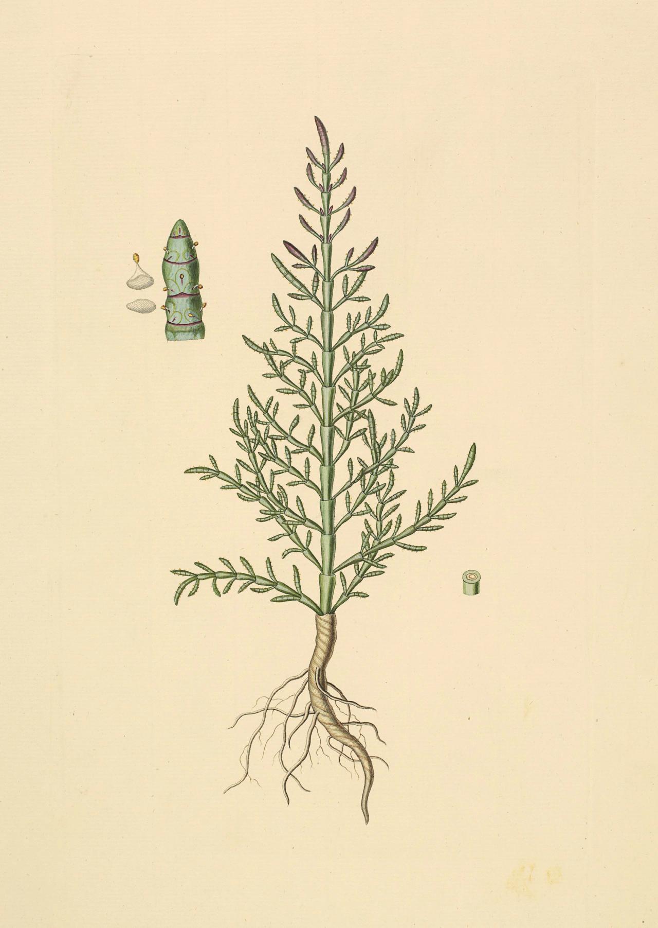 Sommer​​​​‌﻿‍﻿​‍​‍‌‍﻿﻿‌﻿​‍‌‍‍‌‌‍‌﻿‌‍‍‌‌‍﻿‍​‍​‍​﻿‍‍​‍​‍‌﻿​﻿‌‍​‌‌‍﻿‍‌‍‍‌‌﻿‌​‌﻿‍‌​‍﻿‍‌‍‍‌‌‍﻿﻿​‍​‍​‍﻿​​‍​‍‌‍‍​‌﻿​‍‌‍‌‌‌‍‌‍​‍​‍​﻿‍‍​‍​‍‌‍‍​‌﻿‌​‌﻿‌​‌﻿​​​﻿‍‍​‍﻿﻿​‍﻿﻿‌‍﻿​‌‍﻿﻿‌‍​﻿‌‍​‌‌‍﻿​‌‍‍​‌‍﻿﻿‌﻿​﻿‌﻿‌​​﻿‍‍​﻿​﻿​﻿​﻿​﻿​﻿​﻿​﻿​‍﻿﻿‌‍‍‌‌‍﻿‍‌﻿‌​‌‍‌‌‌‍﻿‍‌﻿‌​​‍﻿﻿‌‍‌‌‌‍‌​‌‍‍‌‌﻿‌​​‍﻿﻿‌‍﻿‌‌‍﻿﻿‌‍‌​‌‍‌‌​﻿﻿‌‌﻿​​‌﻿​‍‌‍‌‌‌﻿​﻿‌‍‌‌‌‍﻿‍‌﻿‌​‌‍​‌‌﻿‌​‌‍‍‌‌‍﻿﻿‌‍﻿‍​﻿‍﻿‌‍‍‌‌‍‌​​﻿﻿‌​﻿‌‍​﻿​‍‌‍​‌‌‍‌‍​﻿‍​​﻿​﻿​﻿​​​﻿‌﻿​‍﻿‌​﻿​‌​﻿​‌‌‍​‍​﻿‌﻿​‍﻿‌​﻿‌​​﻿‌‌‌‍‌​​﻿​﻿​‍﻿‌​﻿‍‌‌‍​﻿​﻿‌‌‌‍‌​​‍﻿‌‌‍​‌​﻿​﻿‌‍‌​‌‍‌‍​﻿‌‌‌‍‌‍​﻿‌﻿​﻿‌​​﻿‍‌​﻿‌‍‌‍​‍‌‍‌‍​﻿‍﻿‌﻿‌​‌﻿‍‌‌﻿​​‌‍‌‌​﻿﻿‌‌‍​‌‌﻿​‍‌﻿‌​‌‍‍‌‌‍​﻿‌‍﻿​‌‍‌‌​﻿‍﻿‌﻿​​‌‍​‌‌﻿‌​‌‍‍​​﻿﻿‌‌﻿​​‌‍﻿﻿‌﻿​‍‌﻿‌​‌‍​‌‌‍​‍‌‍﻿​‌‍‌‌‌﻿‌​‌‍‌‌‌﻿‍​‌﻿‌​​‍‌‌​﻿‌‌‌​​‍‌‌﻿﻿‌‍‍﻿‌‍‌‌‌﻿‍‌​‍‌‌​﻿​﻿‌​‌​​‍‌‌​﻿​﻿‌​‌​​‍‌‌​﻿​‍​﻿​‍‌‍​‍​﻿‍‌‌‍‌​‌‍‌‌​﻿‌‌​﻿‌‌​﻿​​​﻿​‌​‍‌‌​﻿​‍​﻿​‍​‍‌‌​﻿‌‌‌​‌​​‍﻿‍‌﻿​﻿‌‍﻿​‌‍‍‌‌‍‌​‌‍‌‌‌﻿​﻿​‍‌‌​﻿‌‌‌​​‍‌‌﻿﻿‌‍‍﻿‌‍‌‌‌﻿‍‌​‍‌‌​﻿​﻿‌​‌​​‍‌‌​﻿​﻿‌​‌​​‍‌‌​﻿​‍​﻿​‍​﻿‌‍‌‍‌‍‌‍‌‍​﻿​‍​﻿‌‍​﻿‌﻿‌‍‌‌‌‍‌‍​‍‌‌​﻿​‍​﻿​‍​‍‌‌​﻿‌‌‌​‌​​‍﻿‍‌‍‍‌‌‍﻿‌‌‍​‌‌‍‌﻿‌‍‌‌​‍﻿‍‌‍​‌‌‍﻿​‌﻿‌​​﻿﻿﻿‌‍​‍‌‍​‌‌﻿​﻿‌‍‌‌‌‌‌‌‌﻿​‍‌‍﻿​​﻿﻿‌‌‍‍​‌﻿‌​‌﻿‌​‌﻿​​​‍‌‌​﻿​﻿‌​​‌​‍‌‌​﻿​‍‌​‌‍​‍‌‌​﻿​‍‌​‌‍‌‍﻿​‌‍﻿﻿‌‍​﻿‌‍​‌‌‍﻿​‌‍‍​‌‍﻿﻿‌﻿​﻿‌﻿‌​​‍‌‌​﻿​﻿‌​​‌​﻿​﻿​﻿​﻿​﻿​﻿​﻿​﻿​‍‌‍‌‍‍‌‌‍‌​​﻿﻿‌​﻿‌‍​﻿​‍‌‍​‌‌‍‌‍​﻿‍​​﻿​﻿​﻿​​​﻿‌﻿​‍﻿‌​﻿​‌​﻿​‌‌‍​‍​﻿‌﻿​‍﻿‌​﻿‌​​﻿‌‌‌‍‌​​﻿​﻿​‍﻿‌​﻿‍‌‌‍​﻿​﻿‌‌‌‍‌​​‍﻿‌‌‍​‌​﻿​﻿‌‍‌​‌‍‌‍​﻿‌‌‌‍‌‍​﻿‌﻿​﻿‌​​﻿‍‌​﻿‌‍‌‍​‍‌‍‌‍​‍‌‍‌﻿‌​‌﻿‍‌‌﻿​​‌‍‌‌​﻿﻿‌‌‍​‌‌﻿​‍‌﻿‌​‌‍‍‌‌‍​﻿‌‍﻿​‌‍‌‌​‍‌‍‌﻿​​‌‍​‌‌﻿‌​‌‍‍​​﻿﻿‌‌﻿​​‌‍﻿﻿‌﻿​‍‌﻿‌​‌‍​‌‌‍​‍‌‍﻿​‌‍‌‌‌﻿‌​‌‍‌‌‌﻿‍​‌﻿‌​​‍‌‌​﻿‌‌‌​​‍‌‌﻿﻿‌‍‍﻿‌‍‌‌‌﻿‍‌​‍‌‌​﻿​﻿‌​‌​​‍‌‌​﻿​﻿‌​‌​​‍‌‌​﻿​‍​﻿​‍‌‍​‍​﻿‍‌‌‍‌​‌‍‌‌​﻿‌‌​﻿‌‌​﻿​​​﻿​‌​‍‌‌​﻿​‍​﻿​‍​‍‌‌​﻿‌‌‌​‌​​‍﻿‍‌﻿​﻿‌‍﻿​‌‍‍‌‌‍‌​‌‍‌‌‌﻿​﻿​‍‌‌​﻿‌‌‌​​‍‌‌﻿﻿‌‍‍﻿‌‍‌‌‌﻿‍‌​‍‌‌​﻿​﻿‌​‌​​‍‌‌​﻿​﻿‌​‌​​‍‌‌​﻿​‍​﻿​‍​﻿‌‍‌‍‌‍‌‍‌‍​﻿​‍​﻿‌‍​﻿‌﻿‌‍‌‌‌‍‌‍​‍‌‌​﻿​‍​﻿​‍​‍‌‌​﻿‌‌‌​‌​​‍﻿‍‌‍‍‌‌‍﻿‌‌‍​‌‌‍‌﻿‌‍‌‌​‍﻿‍‌‍​‌‌‍﻿​‌﻿‌​​‍‌‍‌﻿​​‌‍‌‌‌﻿​‍‌﻿​﻿‌﻿​​‌‍‌‌‌‍​﻿‌﻿‌​‌‍‍‌‌﻿‌‍‌‍‌‌​﻿﻿‌‌﻿​​‌﻿‌‌‌‍​‍‌‍﻿​‌‍‍‌‌﻿​﻿‌‍‍​‌‍‌‌‌‍‌​​‍​‍‌﻿﻿‌