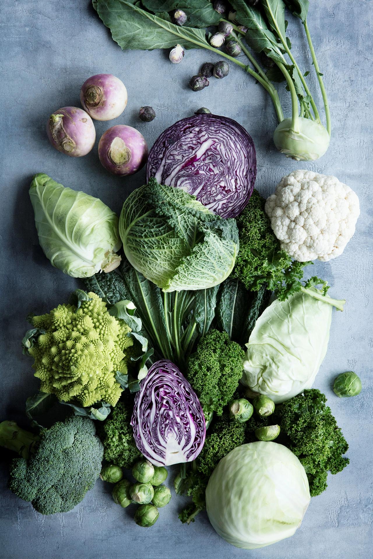 Løgismose Meyers​​​​‌﻿‍﻿​‍​‍‌‍﻿﻿‌﻿​‍‌‍‍‌‌‍‌﻿‌‍‍‌‌‍﻿‍​‍​‍​﻿‍‍​‍​‍‌﻿​﻿‌‍​‌‌‍﻿‍‌‍‍‌‌﻿‌​‌﻿‍‌​‍﻿‍‌‍‍‌‌‍﻿﻿​‍​‍​‍﻿​​‍​‍‌‍‍​‌﻿​‍‌‍‌‌‌‍‌‍​‍​‍​﻿‍‍​‍​‍‌‍‍​‌﻿‌​‌﻿‌​‌﻿​​​﻿‍‍​‍﻿﻿​‍﻿﻿‌‍﻿​‌‍﻿﻿‌‍​﻿‌‍​‌‌‍﻿​‌‍‍​‌‍﻿﻿‌﻿​﻿‌﻿‌​​﻿‍‍​﻿​﻿​﻿​﻿​﻿​﻿​﻿​﻿​‍﻿﻿‌‍‍‌‌‍﻿‍‌﻿‌​‌‍‌‌‌‍﻿‍‌﻿‌​​‍﻿﻿‌‍‌‌‌‍‌​‌‍‍‌‌﻿‌​​‍﻿﻿‌‍﻿‌‌‍﻿﻿‌‍‌​‌‍‌‌​﻿﻿‌‌﻿​​‌﻿​‍‌‍‌‌‌﻿​﻿‌‍‌‌‌‍﻿‍‌﻿‌​‌‍​‌‌﻿‌​‌‍‍‌‌‍﻿﻿‌‍﻿‍​﻿‍﻿‌‍‍‌‌‍‌​​﻿﻿‌‌‍​‌​﻿‌‌‌‍​‍​﻿‌‌​﻿​﻿​﻿​﻿​﻿​​​﻿​​​‍﻿‌​﻿‌﻿‌‍​﻿​﻿​‌​﻿‍​​‍﻿‌​﻿‌​​﻿​‍​﻿‍‌​﻿​﻿​‍﻿‌​﻿‍‌​﻿​‍‌‍‌‌‌‍​‌​‍﻿‌​﻿​‍‌‍​‍​﻿​‌‌‍​‌‌‍​﻿​﻿​﻿​﻿​﻿​﻿​‍​﻿‌‌‌‍​‍‌‍‌‌​﻿​﻿​﻿‍﻿‌﻿‌​‌﻿‍‌‌﻿​​‌‍‌‌​﻿﻿‌‌‍​‌‌﻿​‍‌﻿‌​‌‍‍‌‌‍​﻿‌‍﻿​‌‍‌‌​﻿‍﻿‌﻿​​‌‍​‌‌﻿‌​‌‍‍​​﻿﻿‌‌﻿​​‌‍﻿﻿‌﻿​‍‌﻿‌​‌‍​‌‌‍​‍‌‍﻿​‌‍‌‌‌﻿‌​‌‍‌‌‌﻿‍​‌﻿‌​​‍‌‌​﻿‌‌‌​​‍‌‌﻿﻿‌‍‍﻿‌‍‌‌‌﻿‍‌​‍‌‌​﻿​﻿‌​‌​​‍‌‌​﻿​﻿‌​‌​​‍‌‌​﻿​‍​﻿​‍​﻿‌‌​﻿‍​​﻿‌​‌‍‌​‌‍‌​​﻿‍‌‌‍​﻿​﻿​‍​‍‌‌​﻿​‍​﻿​‍​‍‌‌​﻿‌‌‌​‌​​‍﻿‍‌﻿​﻿‌‍﻿​‌‍‍‌‌‍‌​‌‍‌‌‌﻿​﻿​‍‌‌​﻿‌‌‌​​‍‌‌﻿﻿‌‍‍﻿‌‍‌‌‌﻿‍‌​‍‌‌​﻿​﻿‌​‌​​‍‌‌​﻿​﻿‌​‌​​‍‌‌​﻿​‍​﻿​‍​﻿​‌‌‍‌​​﻿​‍​﻿‌‍​﻿​‌​﻿​​​﻿‌‍​﻿​﻿​‍‌‌​﻿​‍​﻿​‍​‍‌‌​﻿‌‌‌​‌​​‍﻿‍‌‍‍‌‌‍﻿‌‌‍​‌‌‍‌﻿‌‍‌‌​‍﻿‍‌‍​‌‌‍﻿​‌﻿‌​​﻿﻿﻿‌‍​‍‌‍​‌‌﻿​﻿‌‍‌‌‌‌‌‌‌﻿​‍‌‍﻿​​﻿﻿‌‌‍‍​‌﻿‌​‌﻿‌​‌﻿​​​‍‌‌​﻿​﻿‌​​‌​‍‌‌​﻿​‍‌​‌‍​‍‌‌​﻿​‍‌​‌‍‌‍﻿​‌‍﻿﻿‌‍​﻿‌‍​‌‌‍﻿​‌‍‍​‌‍﻿﻿‌﻿​﻿‌﻿‌​​‍‌‌​﻿​﻿‌​​‌​﻿​﻿​﻿​﻿​﻿​﻿​﻿​﻿​‍‌‍‌‍‍‌‌‍‌​​﻿﻿‌‌‍​‌​﻿‌‌‌‍​‍​﻿‌‌​﻿​﻿​﻿​﻿​﻿​​​﻿​​​‍﻿‌​﻿‌﻿‌‍​﻿​﻿​‌​﻿‍​​‍﻿‌​﻿‌​​﻿​‍​﻿‍‌​﻿​﻿​‍﻿‌​﻿‍‌​﻿​‍‌‍‌‌‌‍​‌​‍﻿‌​﻿​‍‌‍​‍​﻿​‌‌‍​‌‌‍​﻿​﻿​﻿​﻿​﻿​﻿​‍​﻿‌‌‌‍​‍‌‍‌‌​﻿​﻿​‍‌‍‌﻿‌​‌﻿‍‌‌﻿​​‌‍‌‌​﻿﻿‌‌‍​‌‌﻿​‍‌﻿‌​‌‍‍‌‌‍​﻿‌‍﻿​‌‍‌‌​‍‌‍‌﻿​​‌‍​‌‌﻿‌​‌‍‍​​﻿﻿‌‌﻿​​‌‍﻿﻿‌﻿​‍‌﻿‌​‌‍​‌‌‍​‍‌‍﻿​‌‍‌‌‌﻿‌​‌‍‌‌‌﻿‍​‌﻿‌​​‍‌‌​﻿‌‌‌​​‍‌‌﻿﻿‌‍‍﻿‌‍‌‌‌﻿‍‌​‍‌‌​﻿​﻿‌​‌​​‍‌‌​﻿​﻿‌​‌​​‍‌‌​﻿​‍​﻿​‍​﻿‌‌​﻿‍​​﻿‌​‌‍‌​‌‍‌​​﻿‍‌‌‍​﻿​﻿​‍​‍‌‌​﻿​‍​﻿​‍​‍‌‌​﻿‌‌‌​‌​​‍﻿‍‌﻿​﻿‌‍﻿​‌‍‍‌‌‍‌​‌‍‌‌‌﻿​﻿​‍‌‌​﻿‌‌‌​​‍‌‌﻿﻿‌‍‍﻿‌‍‌‌‌﻿‍‌​‍‌‌​﻿​﻿‌​‌​​‍‌‌​﻿​﻿‌​‌​​‍‌‌​﻿​‍​﻿​‍​﻿​‌‌‍‌​​﻿​‍​﻿‌‍​﻿​‌​﻿​​​﻿‌‍​﻿​﻿​‍‌‌​﻿​‍​﻿​‍​‍‌‌​﻿‌‌‌​‌​​‍﻿‍‌‍‍‌‌‍﻿‌‌‍​‌‌‍‌﻿‌‍‌‌​‍﻿‍‌‍​‌‌‍﻿​‌﻿‌​​‍‌‍‌﻿​​‌‍‌‌‌﻿​‍‌﻿​﻿‌﻿​​‌‍‌‌‌‍​﻿‌﻿‌​‌‍‍‌‌﻿‌‍‌‍‌‌​﻿﻿‌‌﻿​​‌﻿‌‌‌‍​‍‌‍﻿​‌‍‍‌‌﻿​﻿‌‍‍​‌‍‌‌‌‍‌​​‍​‍‌﻿﻿‌